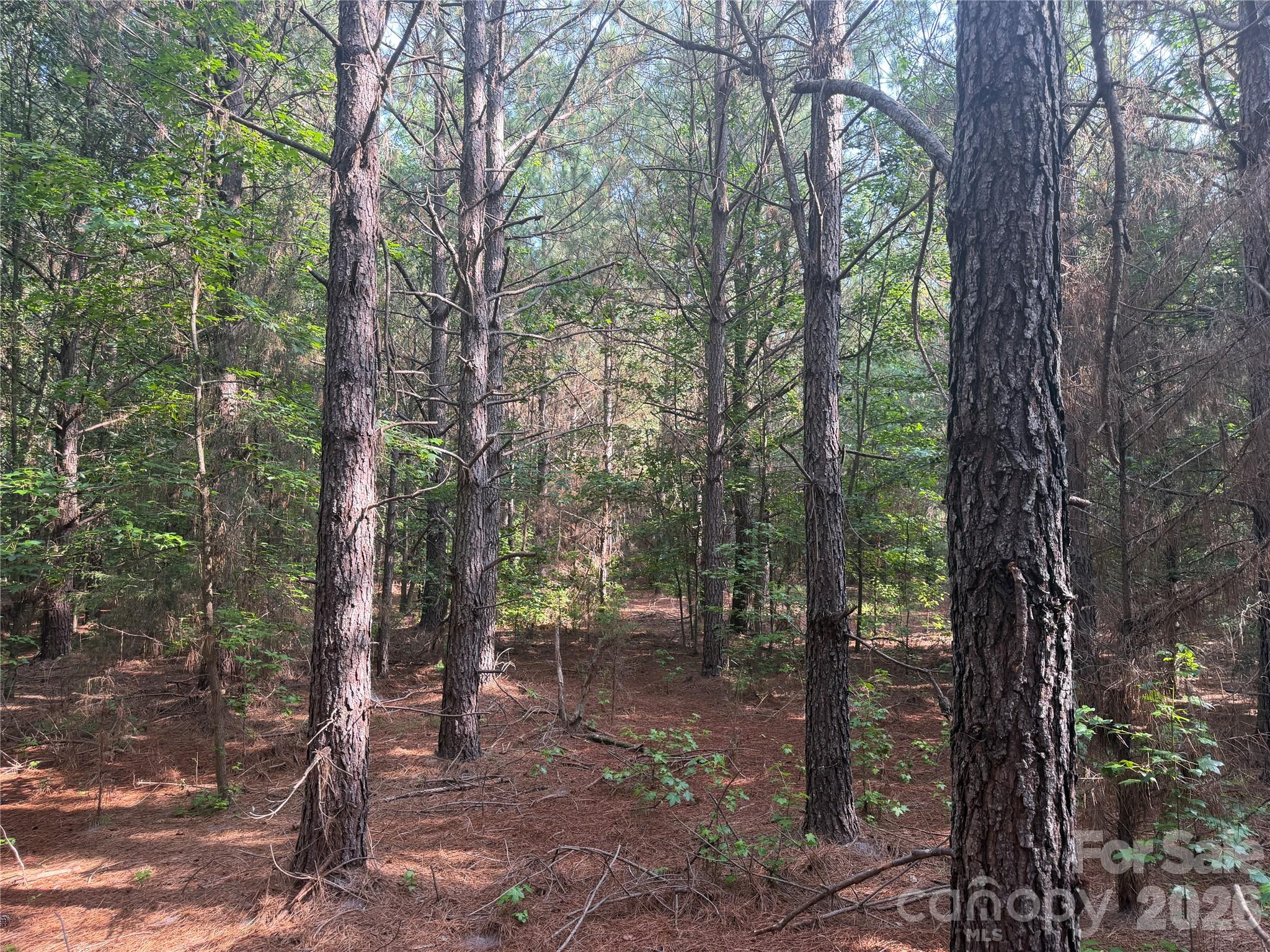 00 W Chappell Road Property Photo 7
