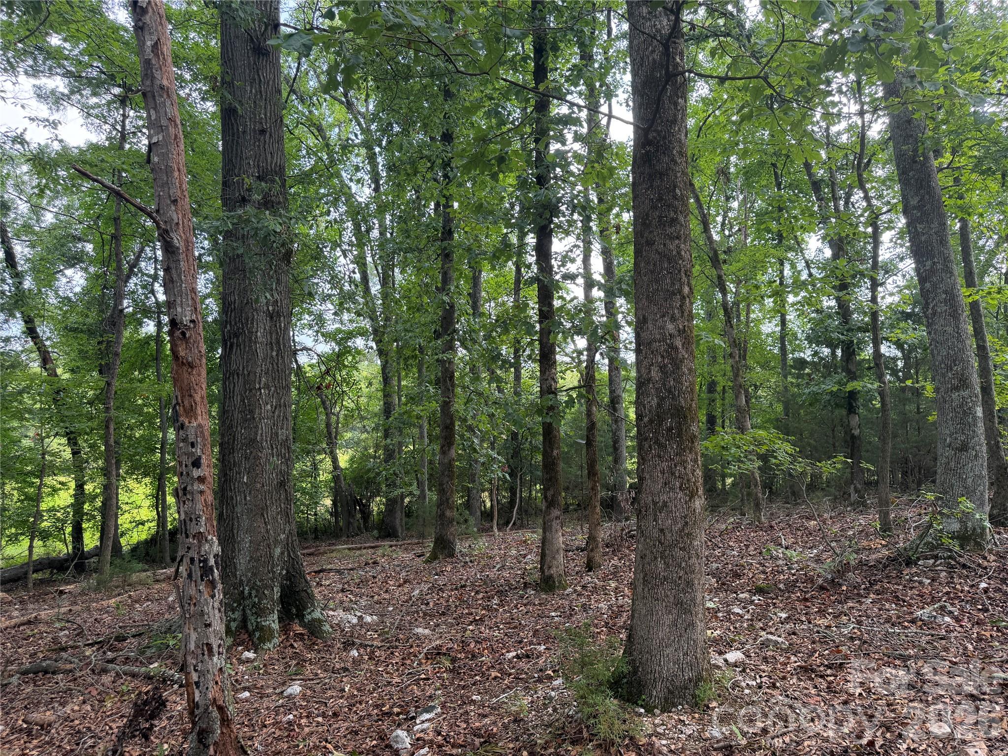 00 W Chappell Road Property Photo 17