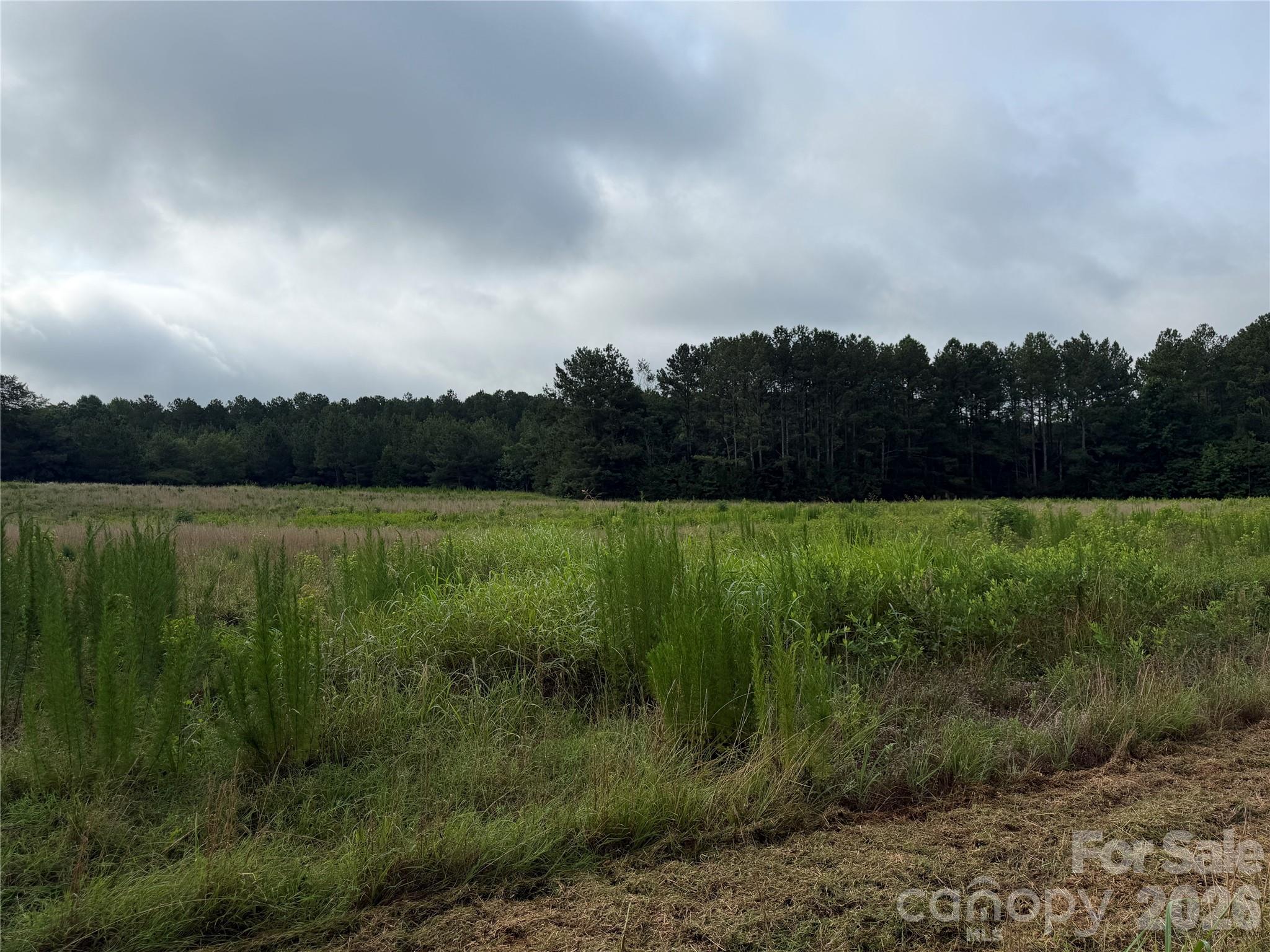 00 W Chappell Road Property Photo 18