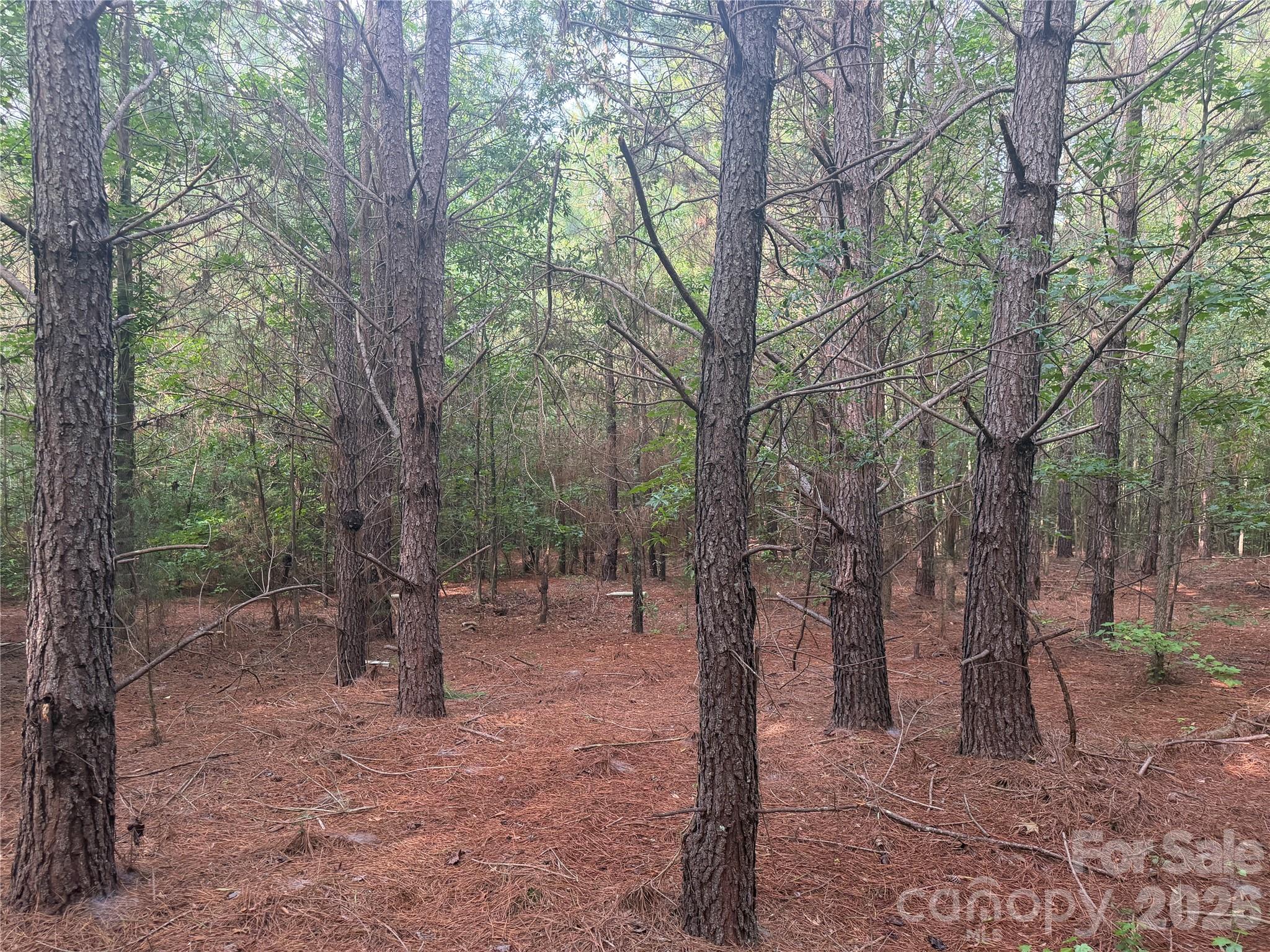 00 W Chappell Road Property Photo 19