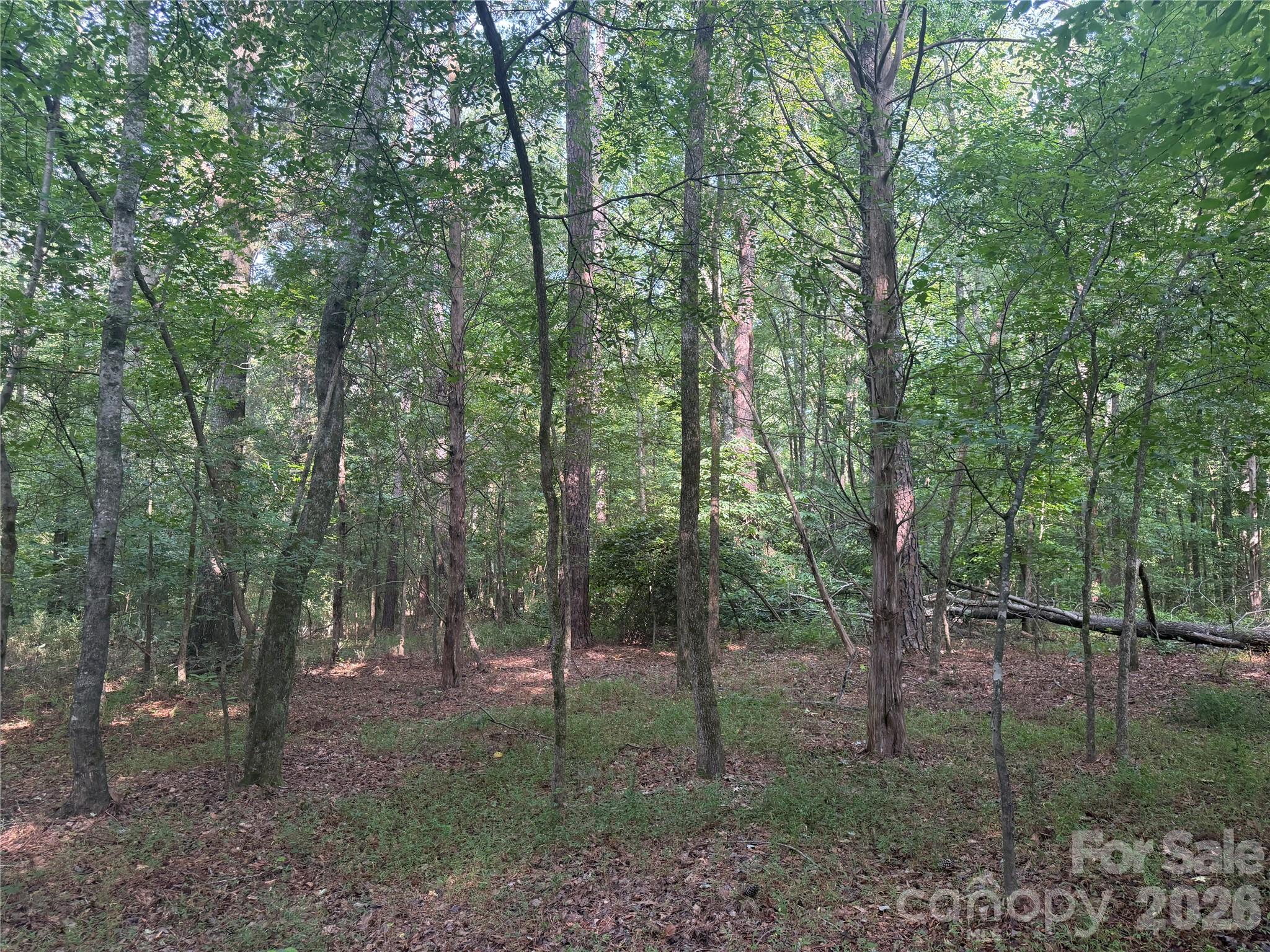 00 W Chappell Road Property Photo 20