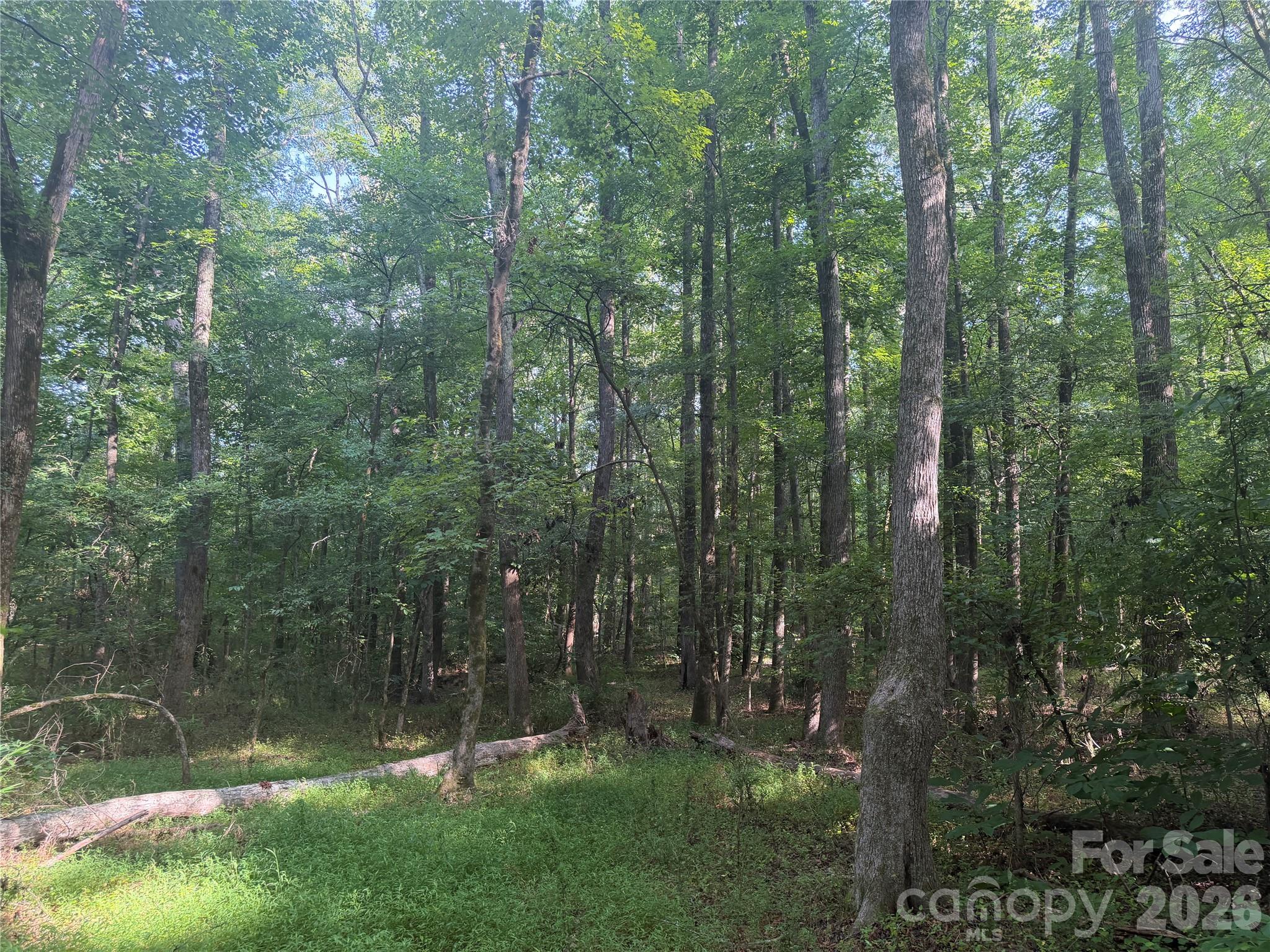 00 W Chappell Road Property Photo 21