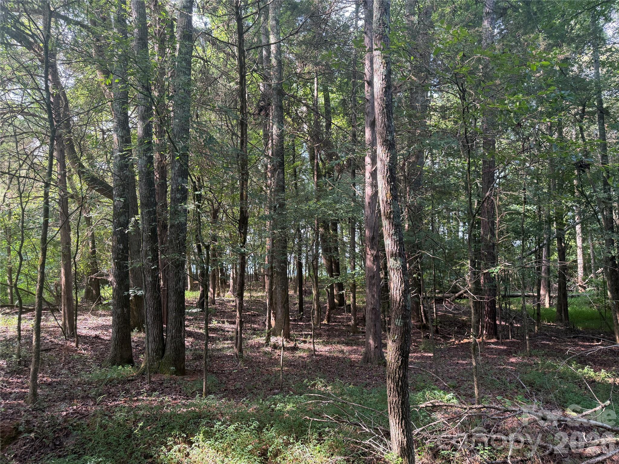 00 W Chappell Road Property Photo 22