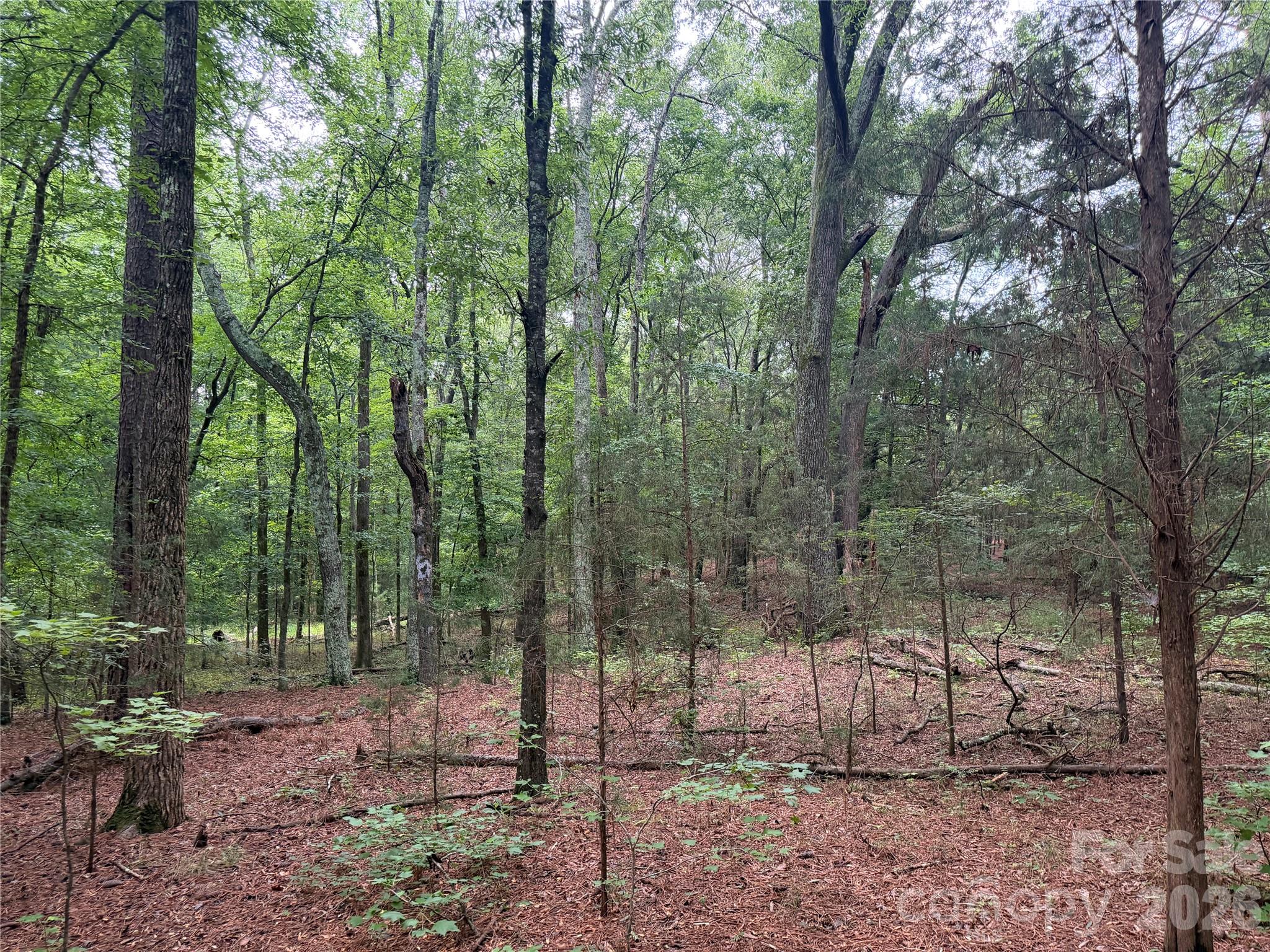 00 W Chappell Road Property Photo 27