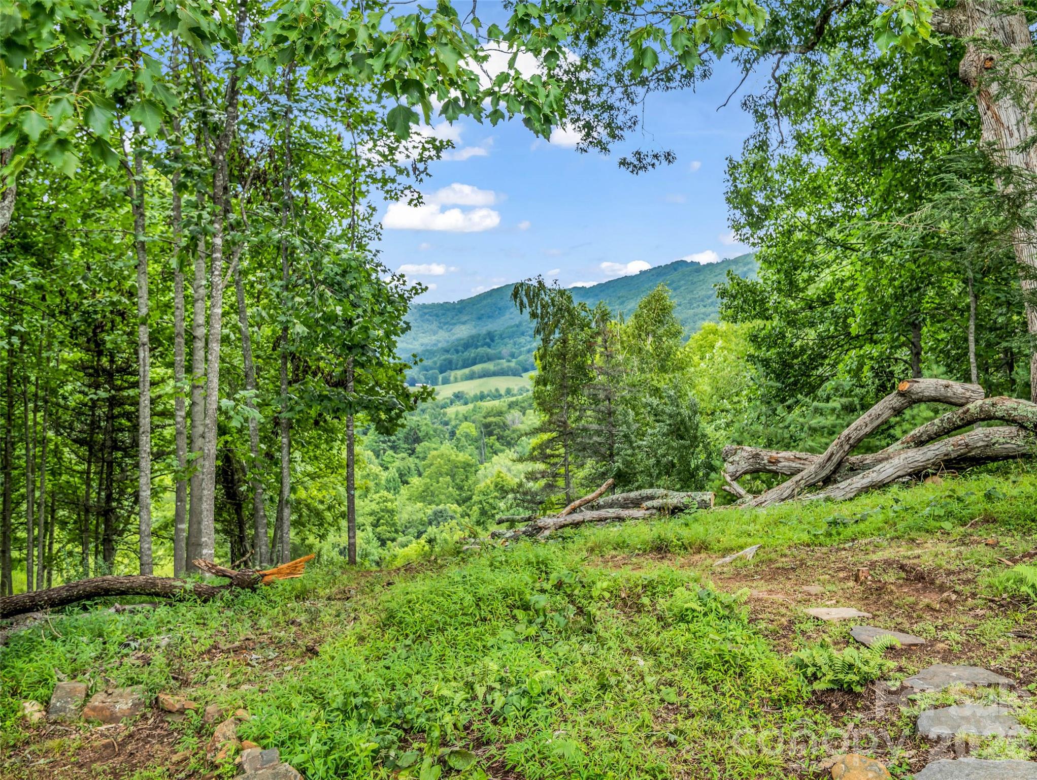 450 Windom Cove Property Photo 45