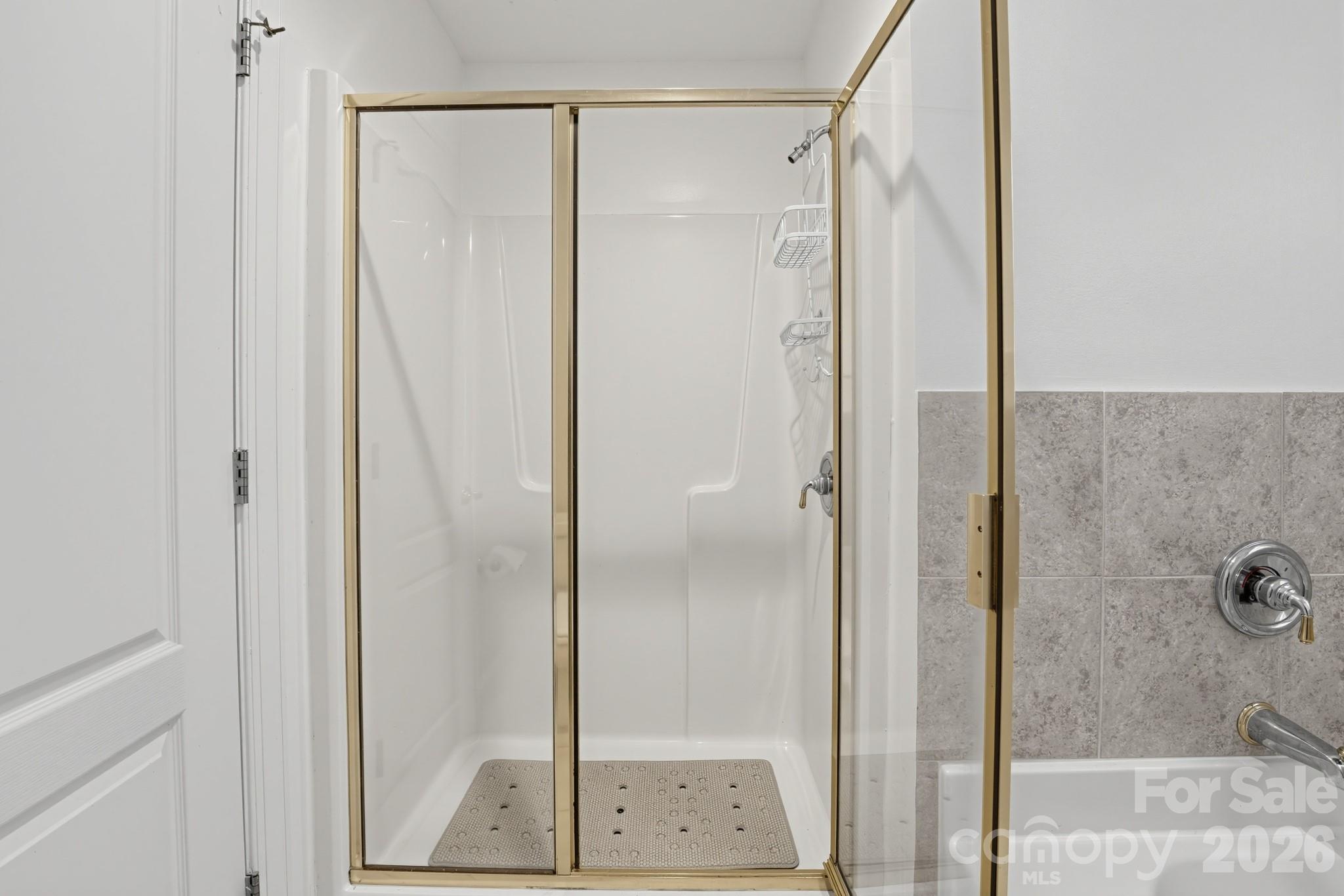 14441 Adair Manor Court Property Photo 27