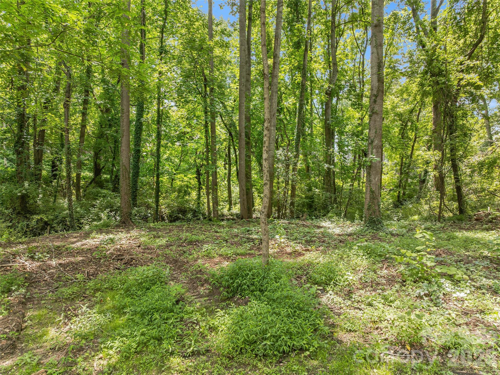 468 Governors View Road Property Photo 5