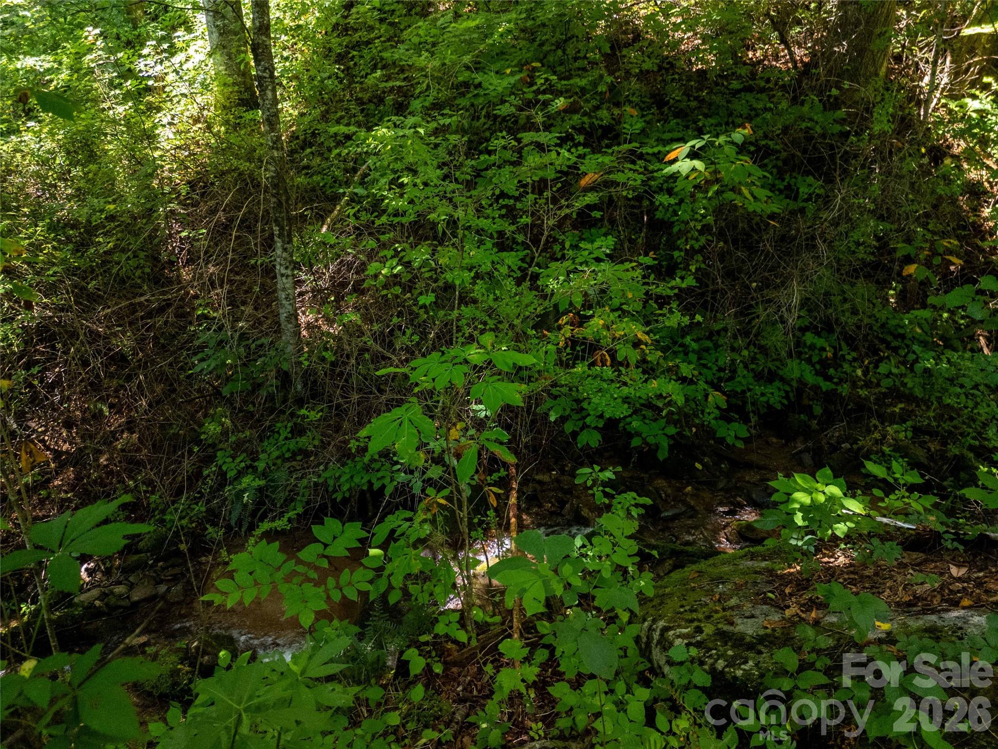 1249 Monteith Branch Road Property Photo 7