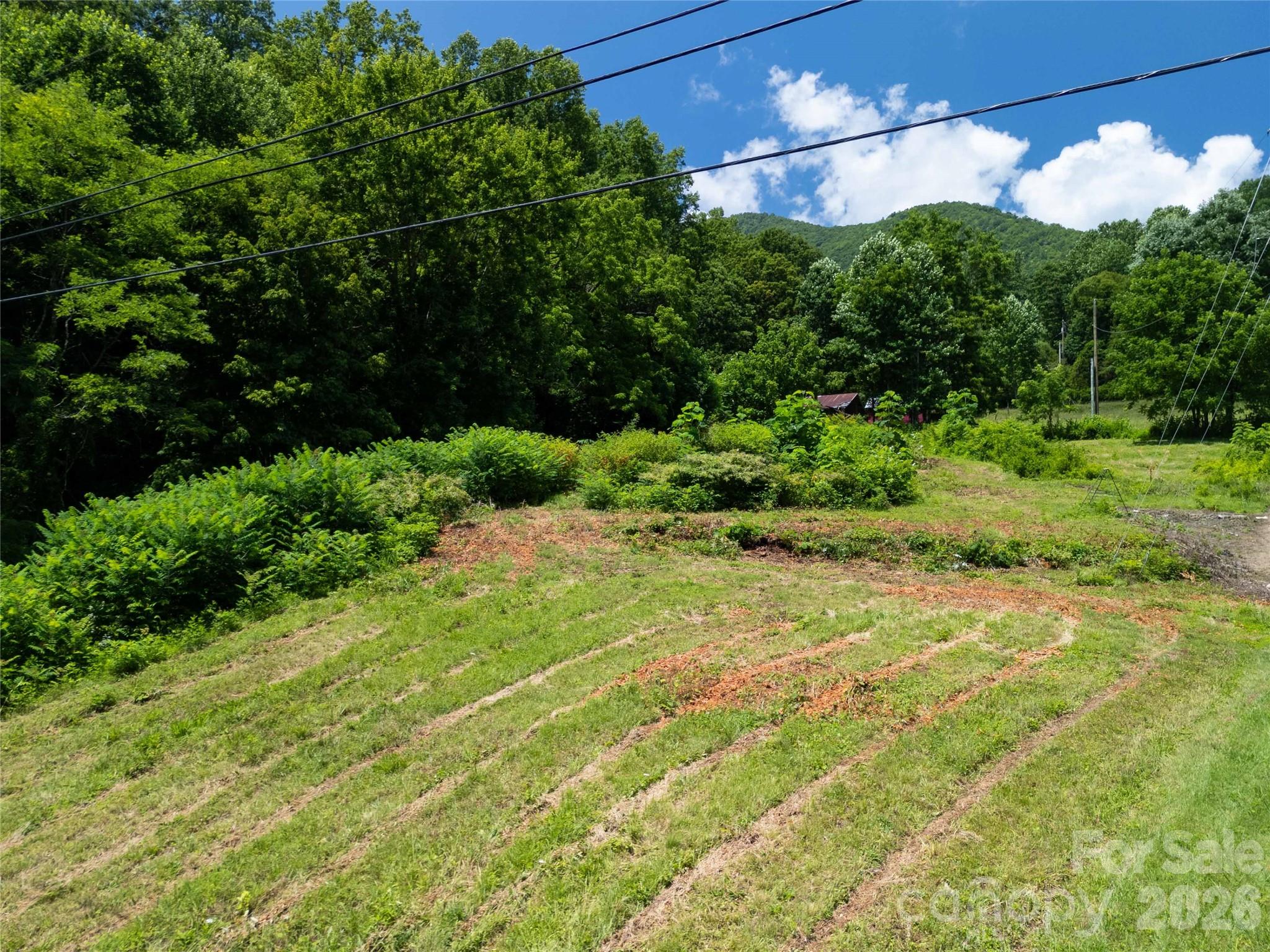1249 Monteith Branch Road Property Photo 11