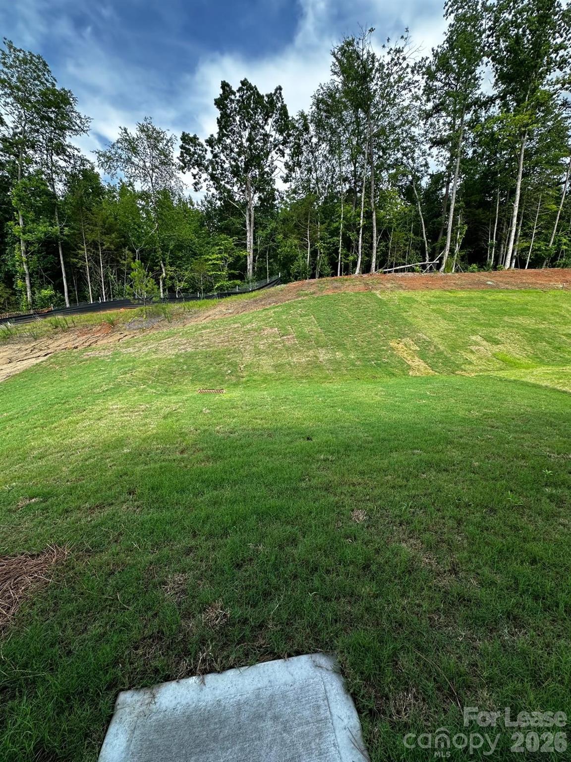13103 Hampton Bay Lane Property Photo 16