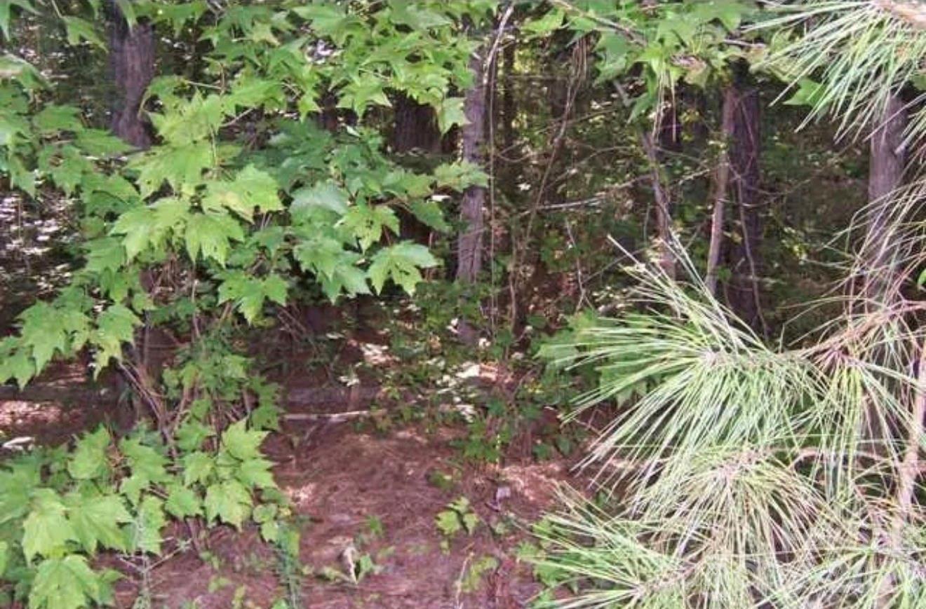 104 Shaman Drive Property Photo 3