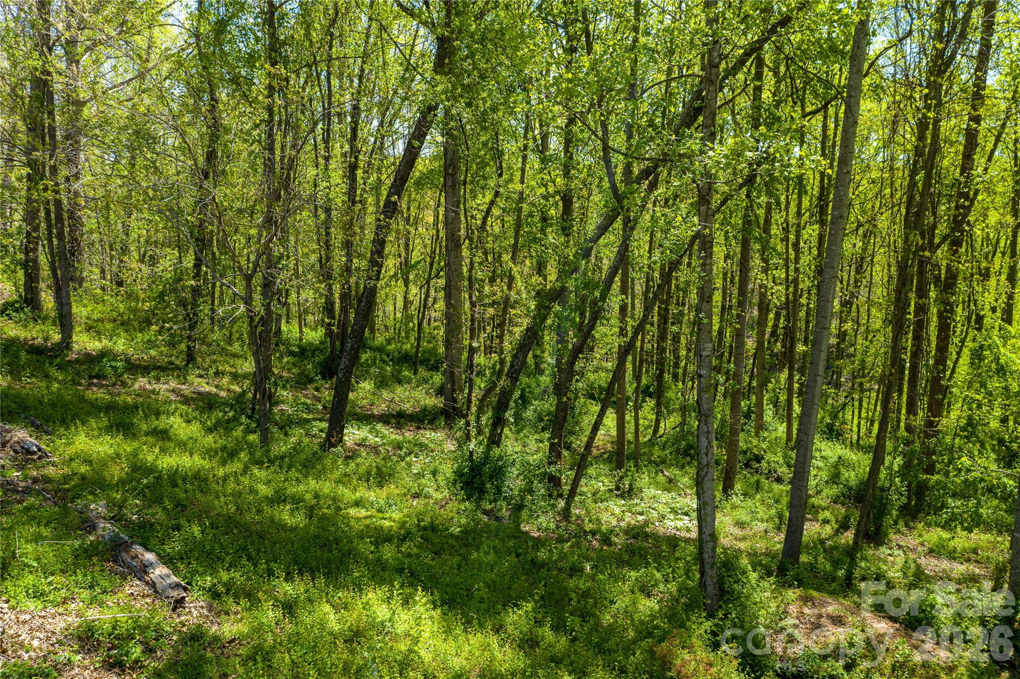 9999 Bee Balm Way 55 Property Photo 1