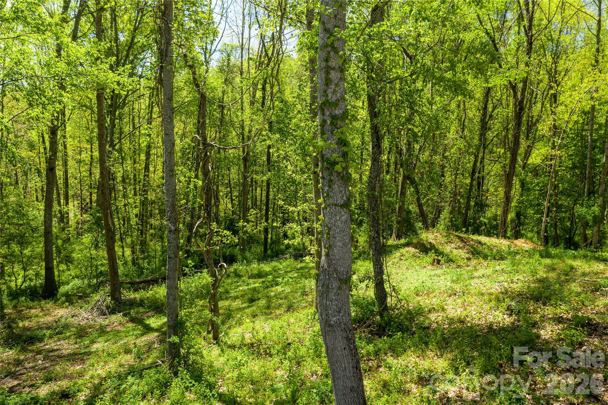 9999 Bee Balm Way 55 Property Photo 2