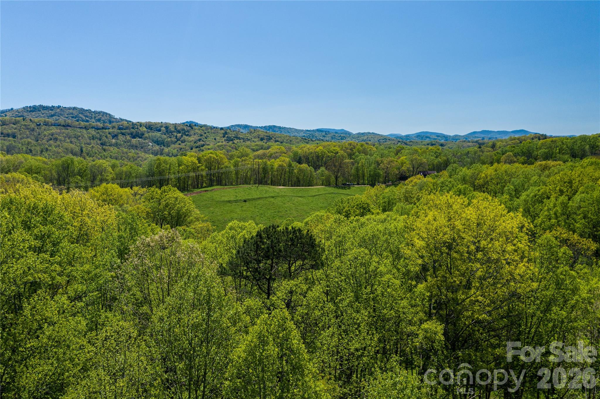 9999 Bee Balm Way 55 Property Photo 3
