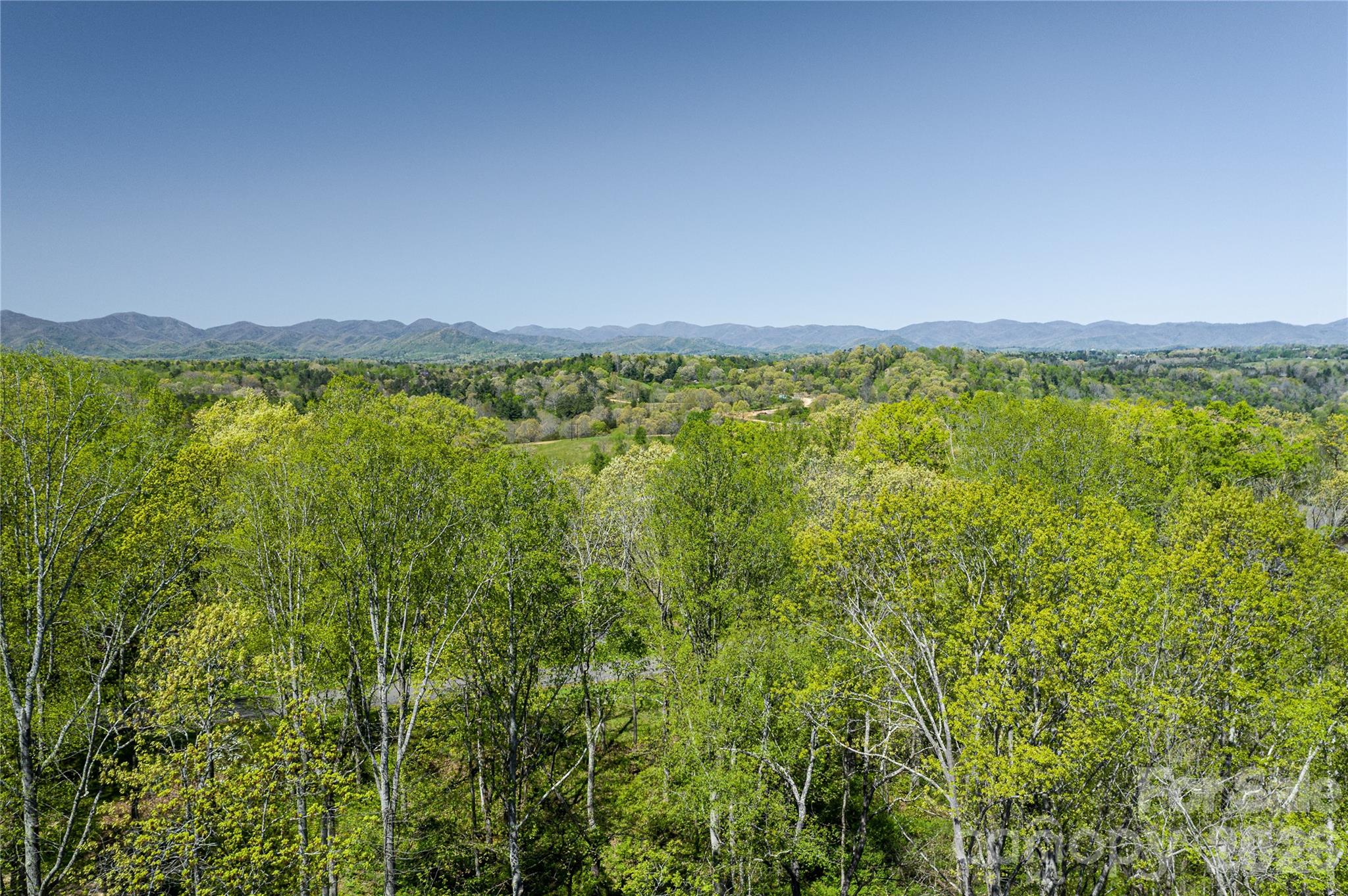 9999 Bee Balm Way 55 Property Photo 4