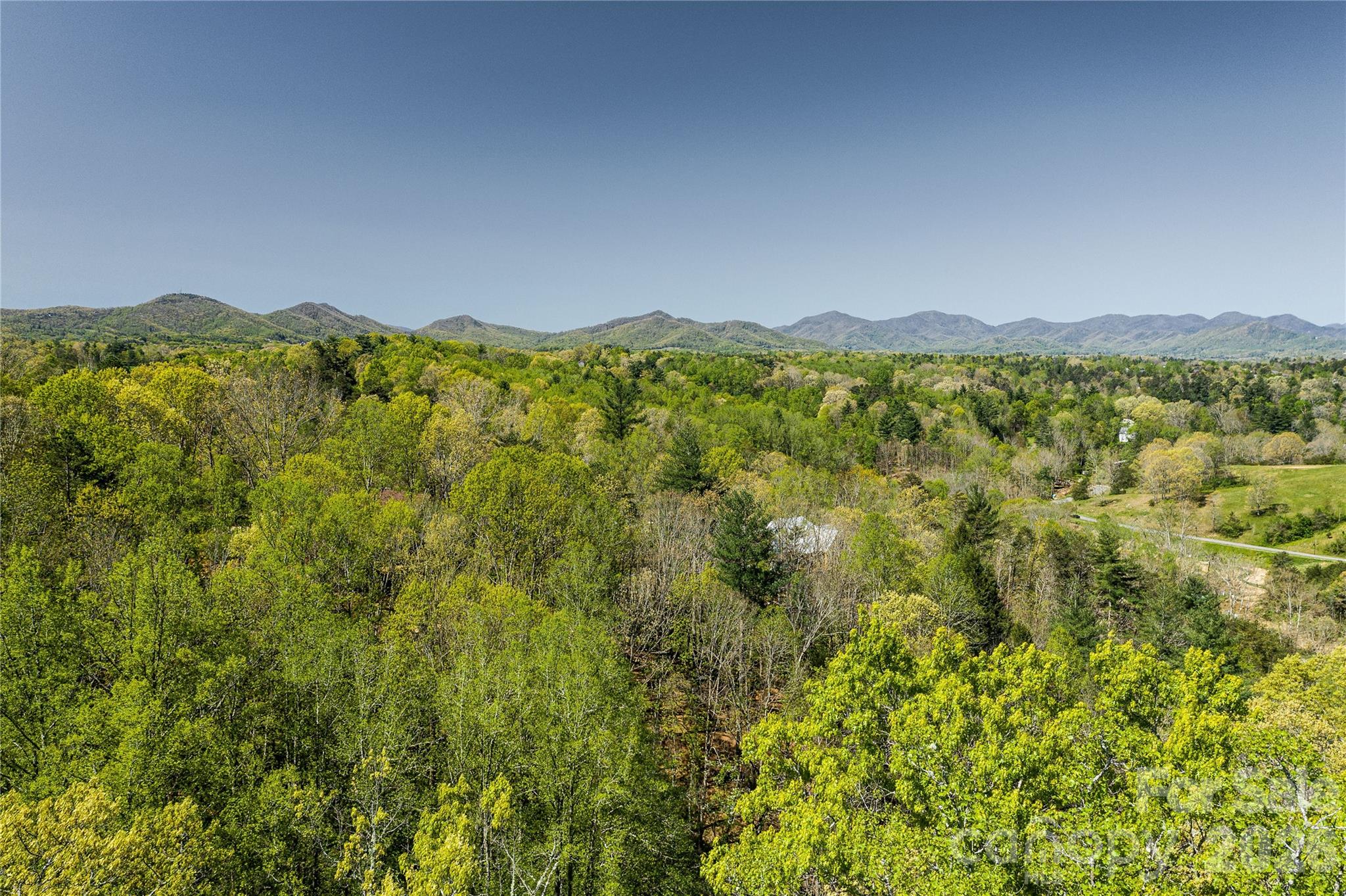 9999 Bee Balm Way 55 Property Photo 17