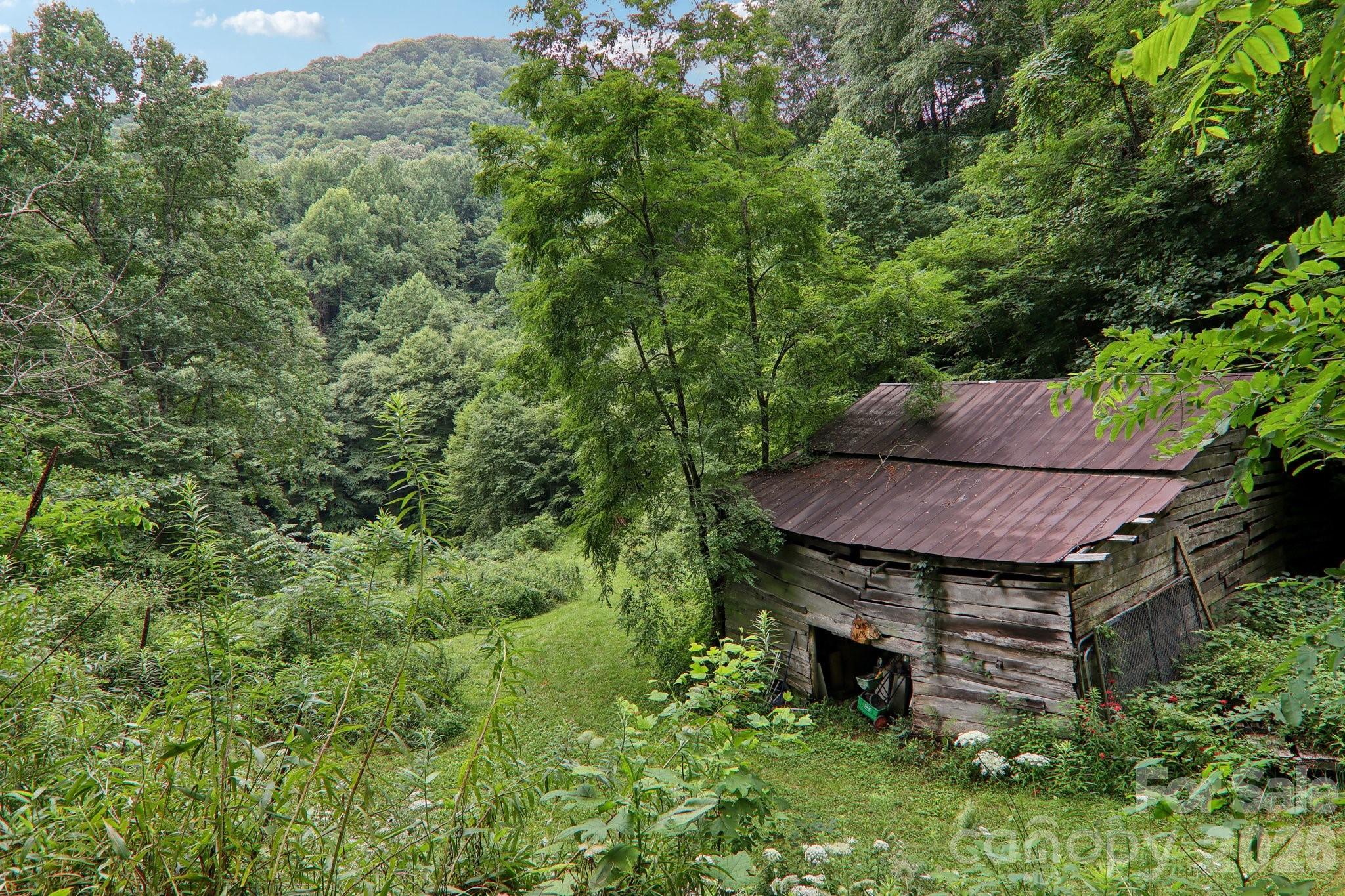 4501 Cove Creek Road Property Photo 34