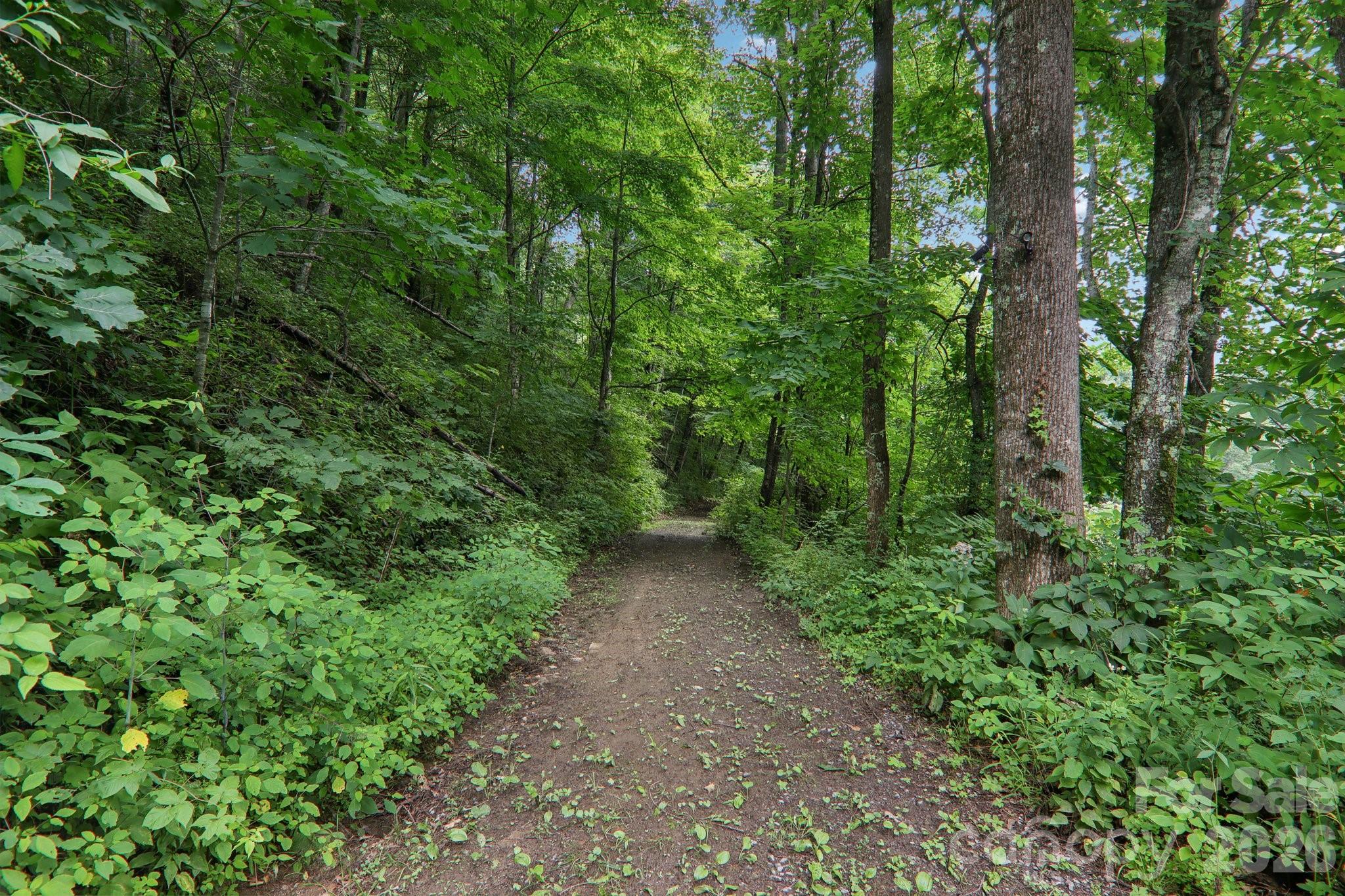 4501 Cove Creek Road Property Photo 35