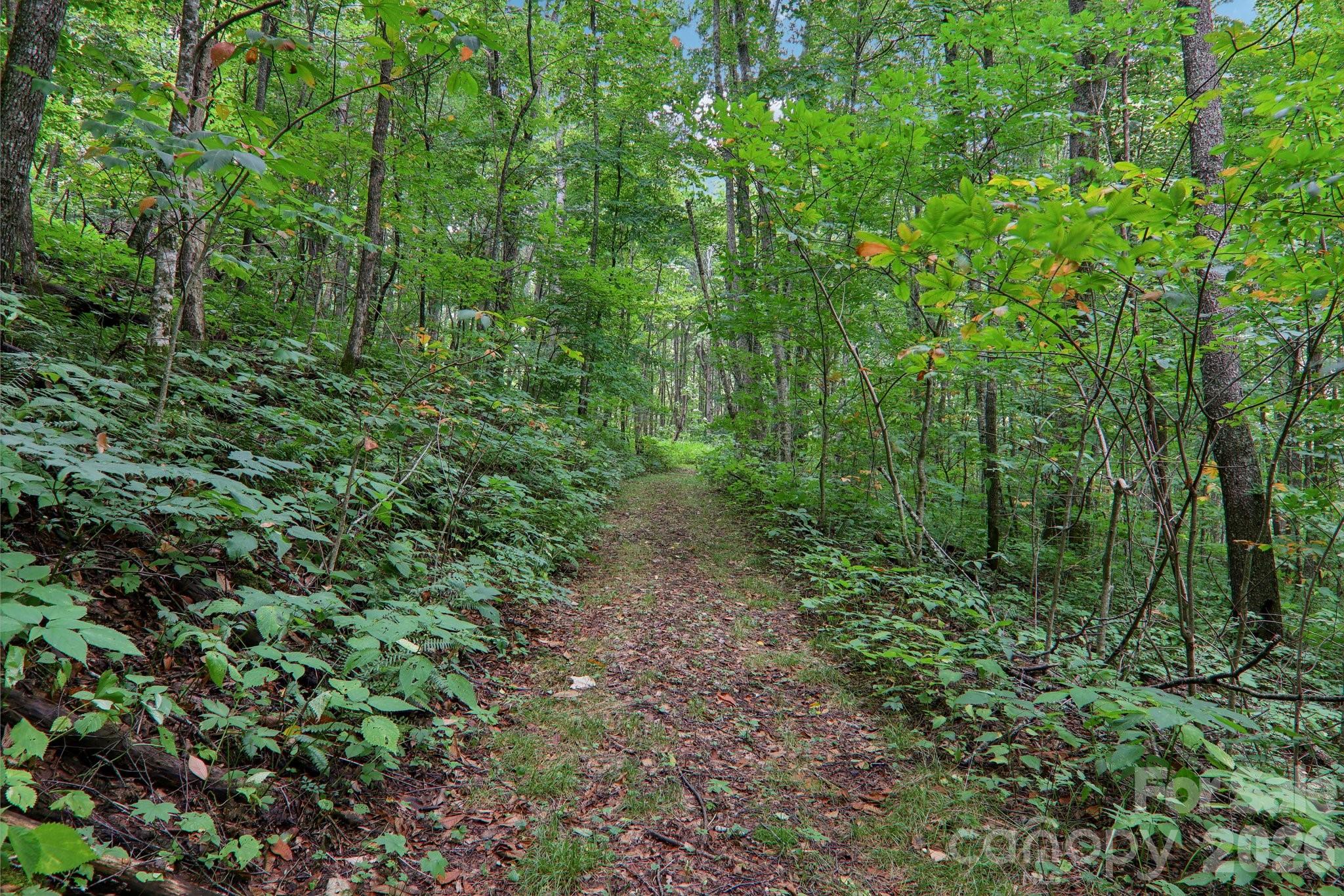 4501 Cove Creek Road Property Photo 37