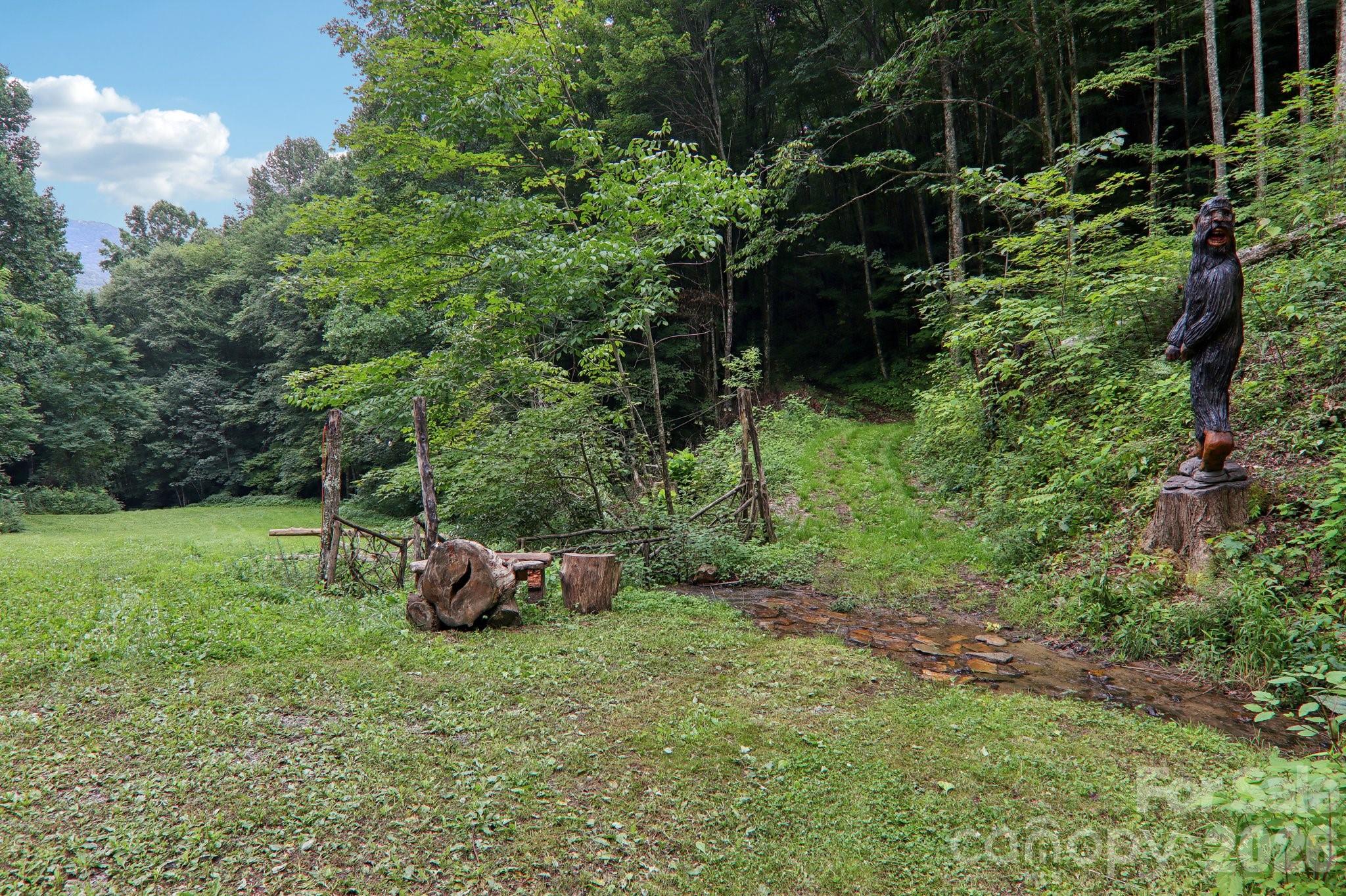 4501 Cove Creek Road Property Photo 40