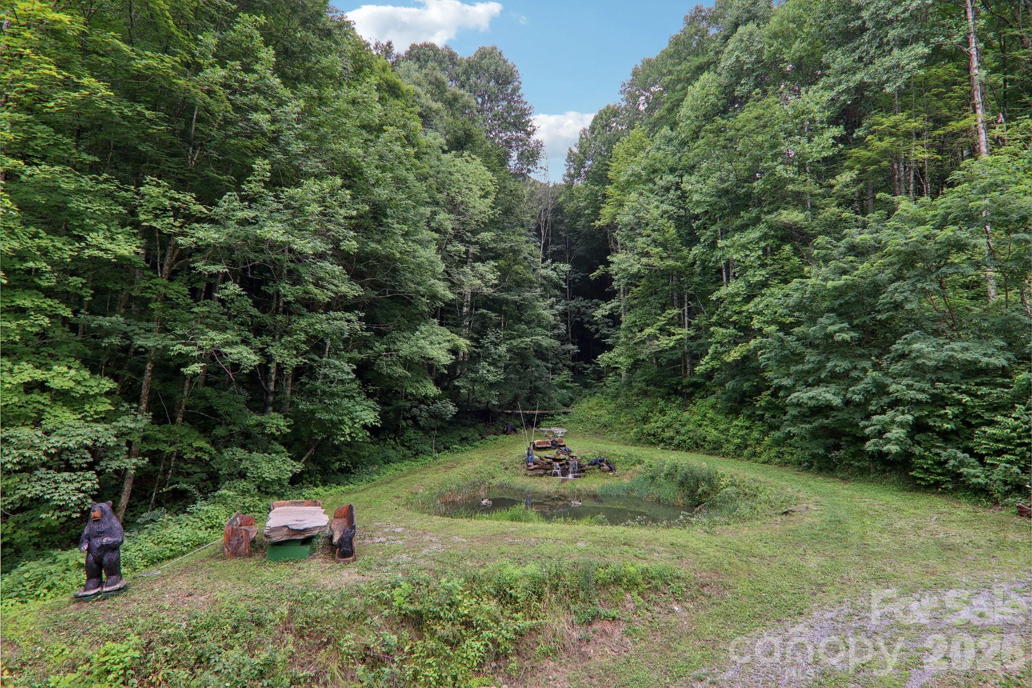 4501 Cove Creek Road Property Photo 42