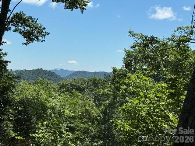 673 Chestnut Lane Property Photo 2