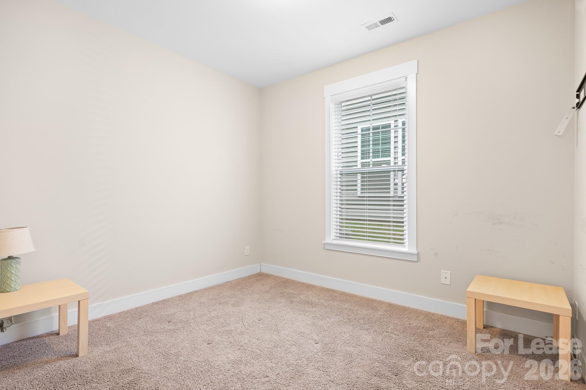 10008 Michael Crossing Drive Property Photo 18