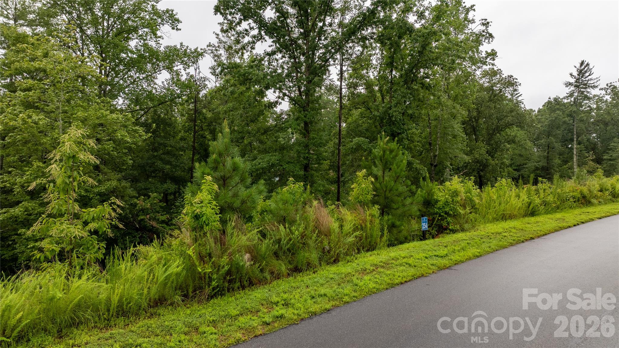 00 Scenic Lane 254 Property Photo 4