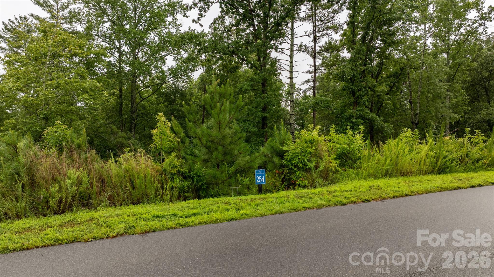 00 Scenic Lane 254 Property Photo 5