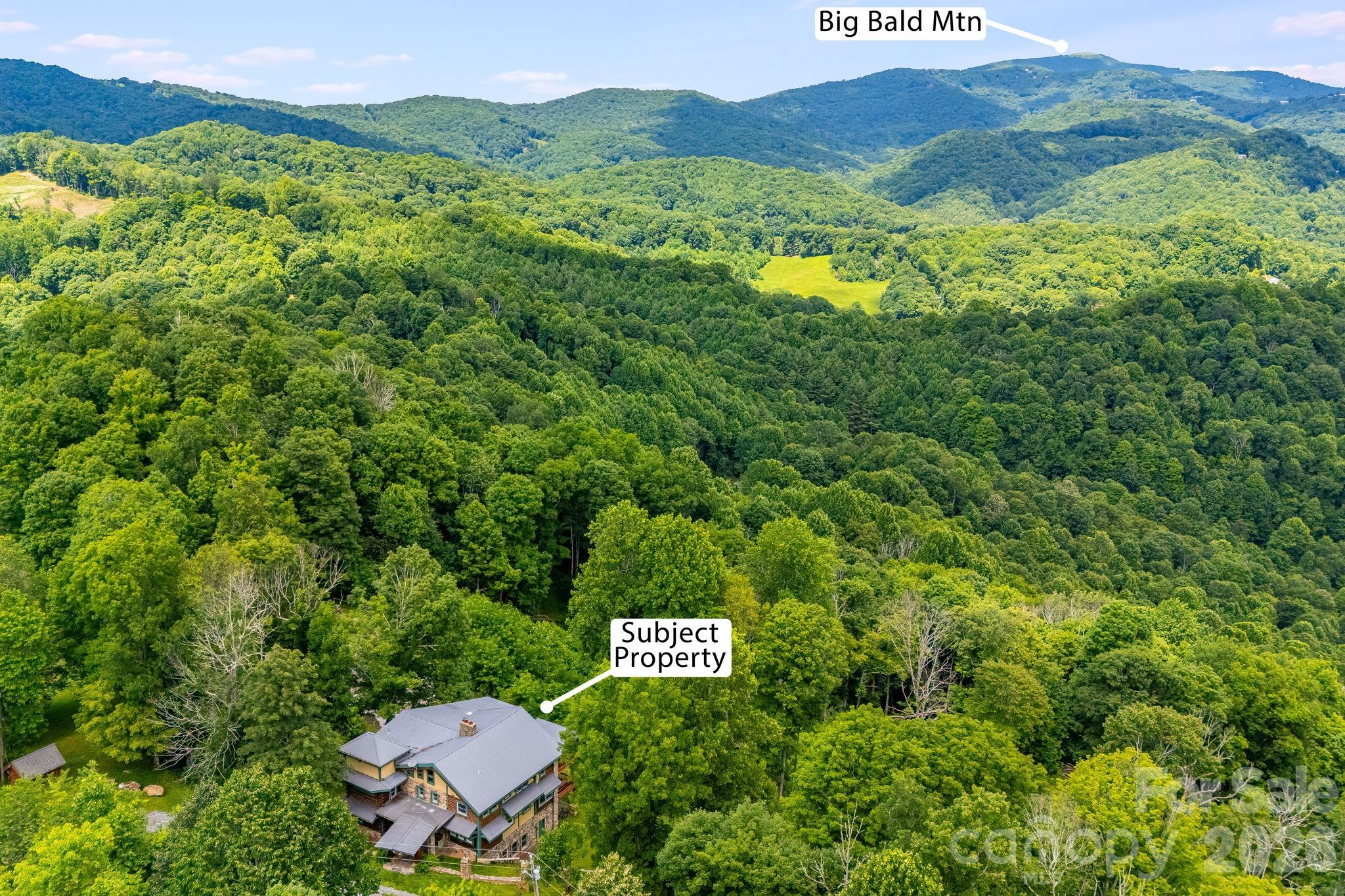 1185 Black Bear Drive