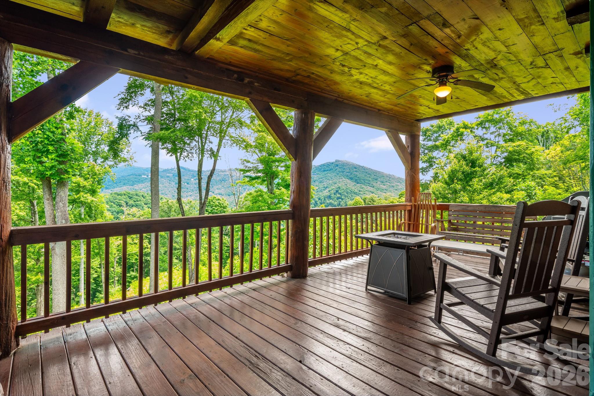 1185 Black Bear Drive Property Photo 19