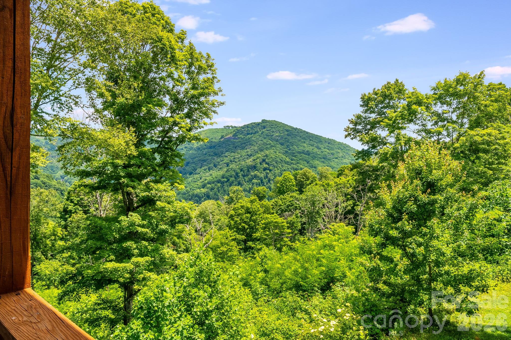 1185 Black Bear Drive Property Photo 20
