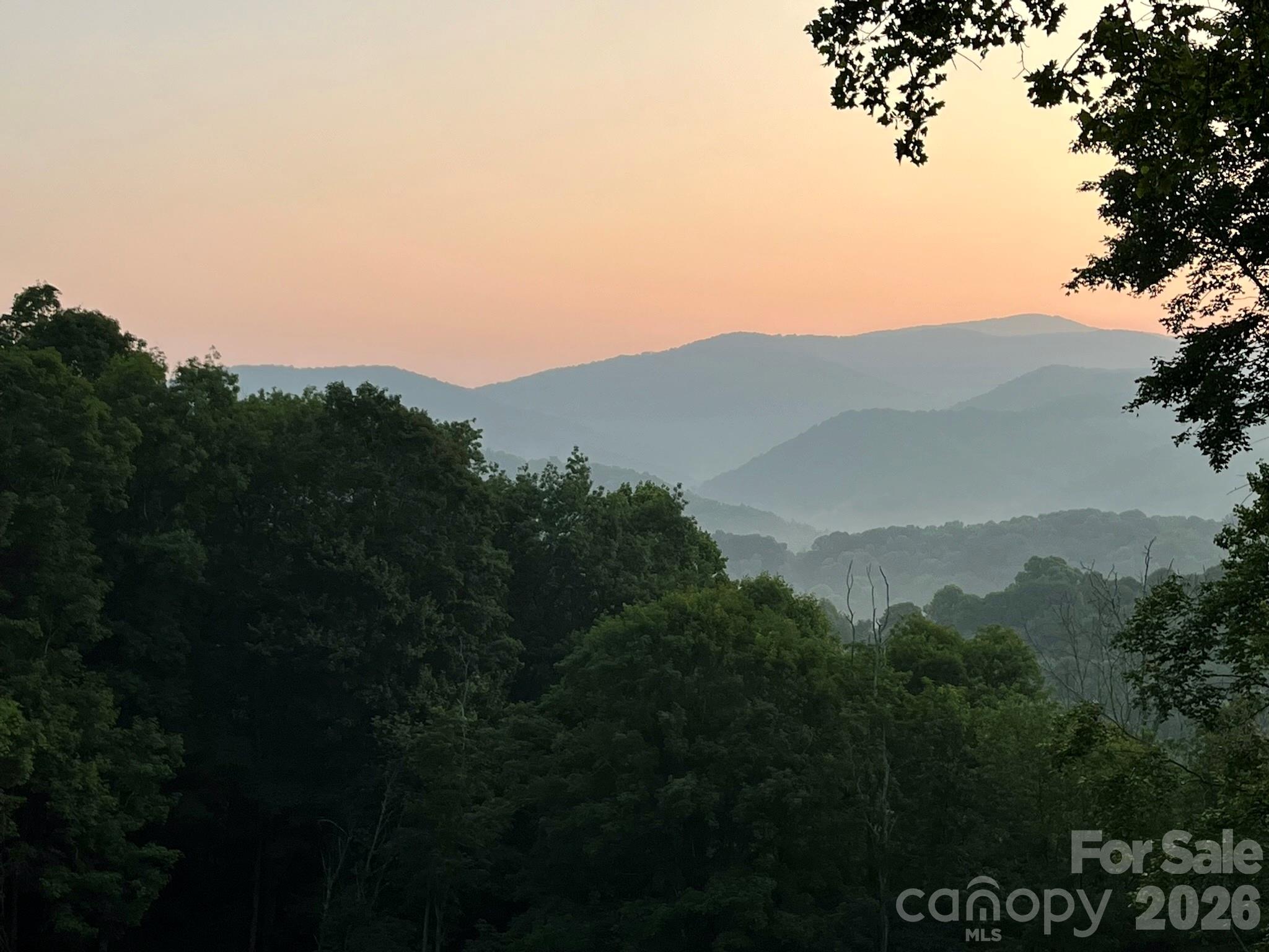 1185 Black Bear Drive Property Photo 21