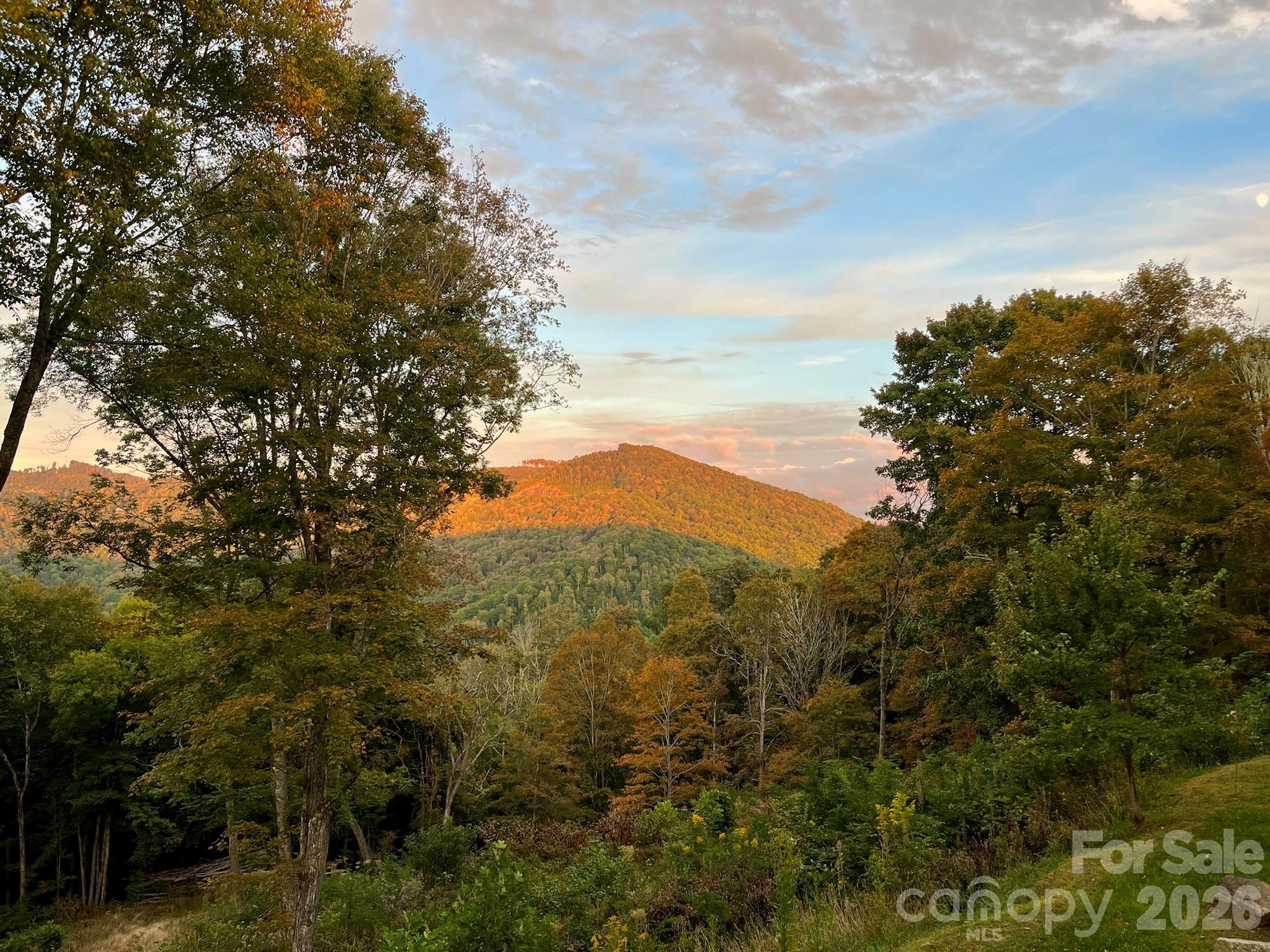 1185 Black Bear Drive Property Photo 45
