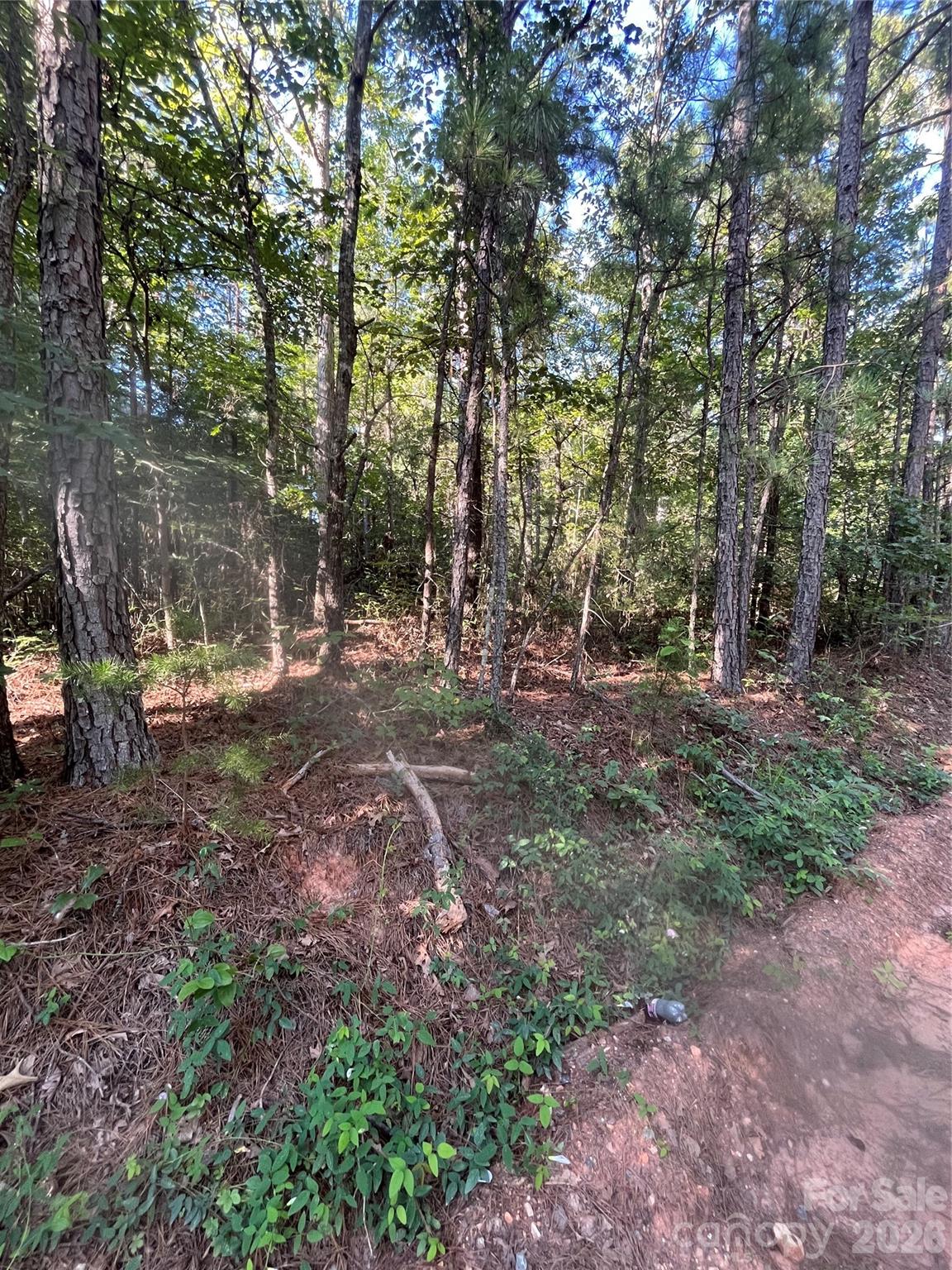 0 Ore Bank Road 4 Property Photo 1
