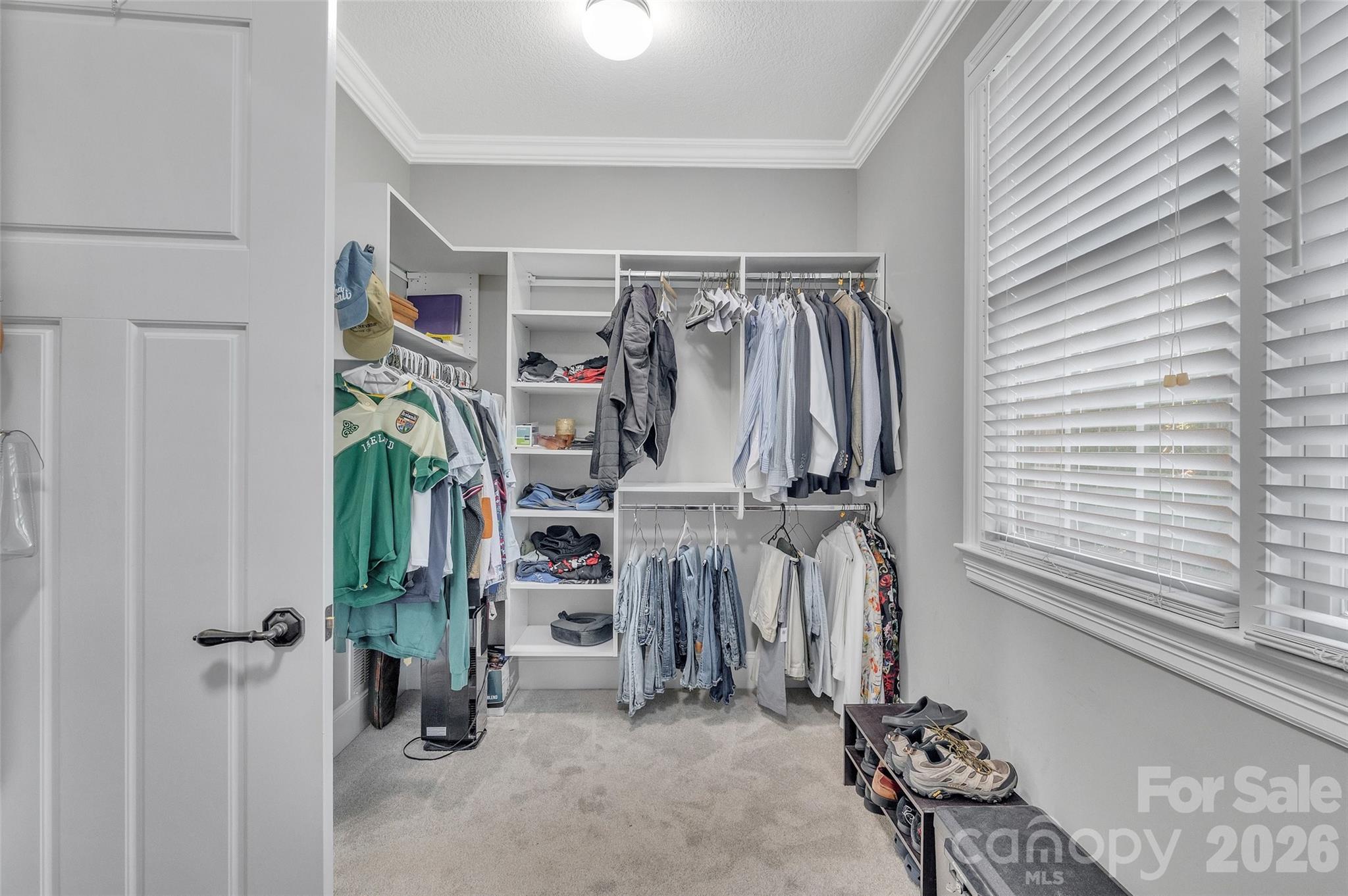 37 Carland Drive Property Photo 24