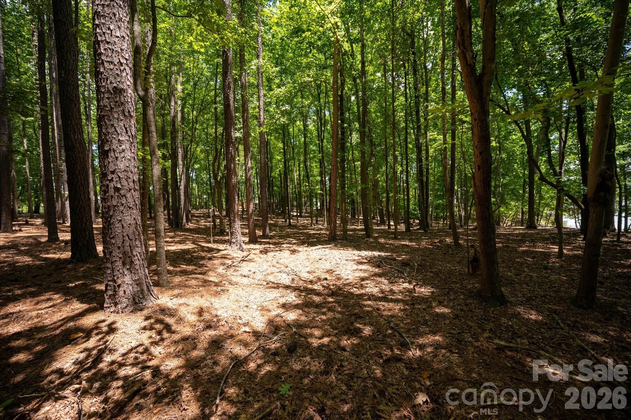 3920 Concord Drive Property Photo 16
