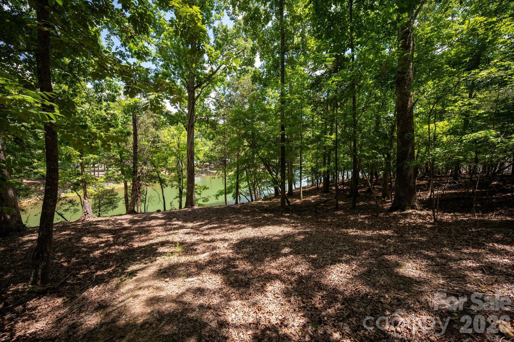 3920 Concord Drive Property Photo 17