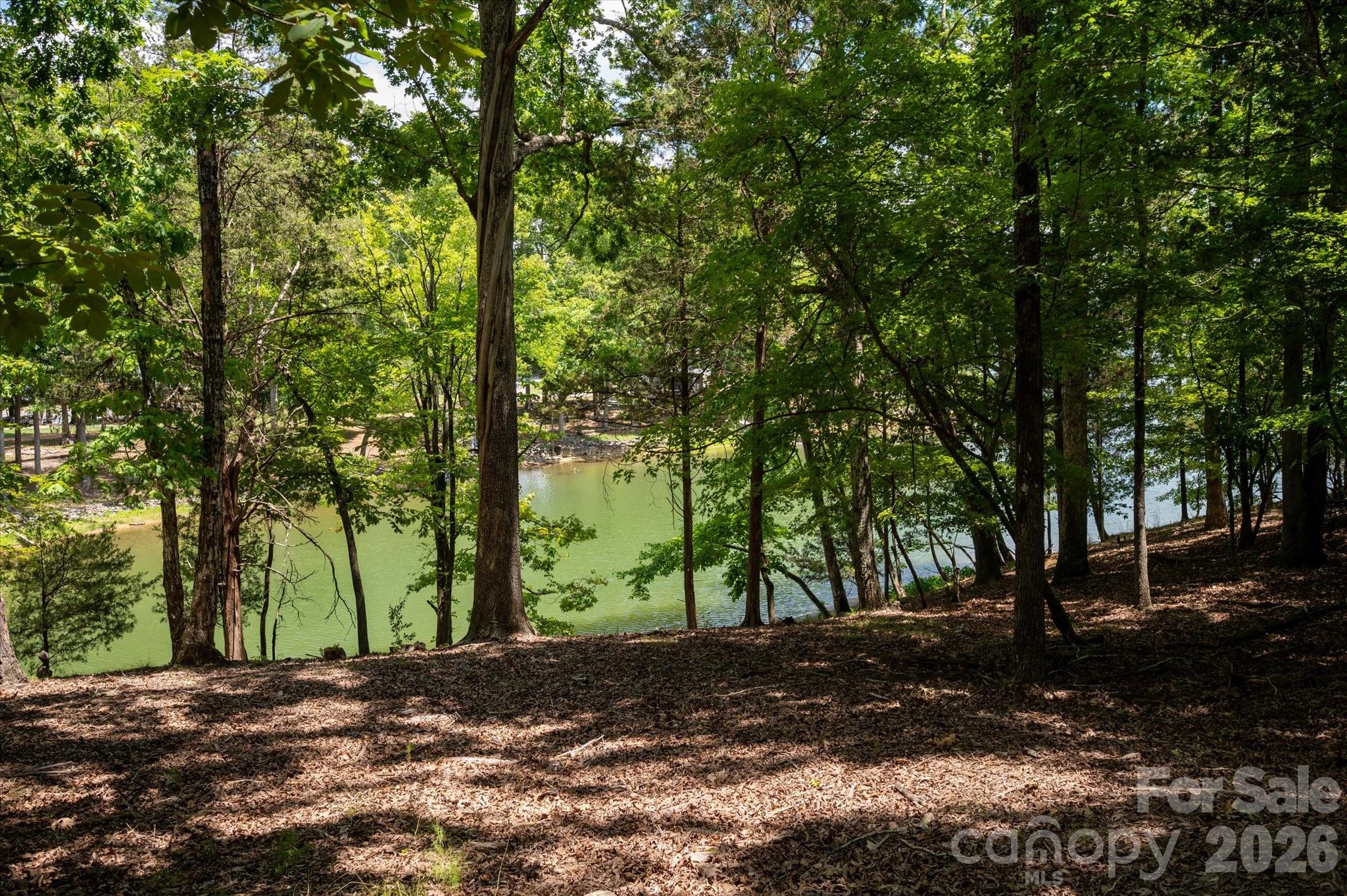 3920 Concord Drive Property Photo 18