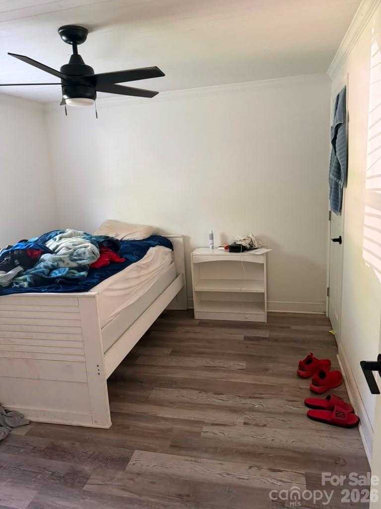 404 Palmetto Street Property Photo 19