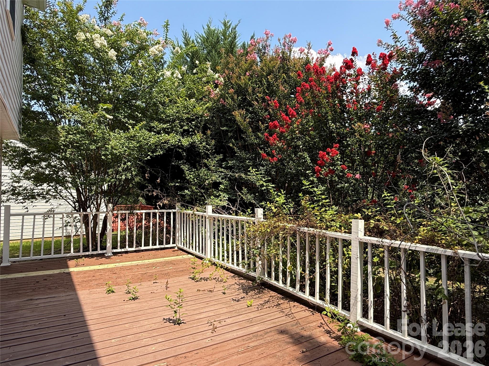 4820 Lynn Lee Circle Property Photo 19