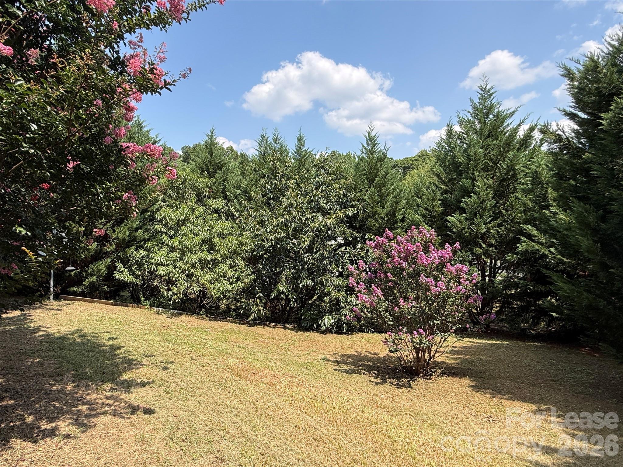 4820 Lynn Lee Circle Property Photo 20