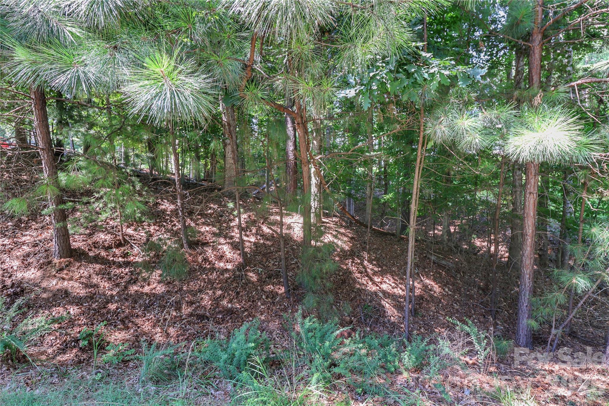 496 Kenway Loop Property Photo 7