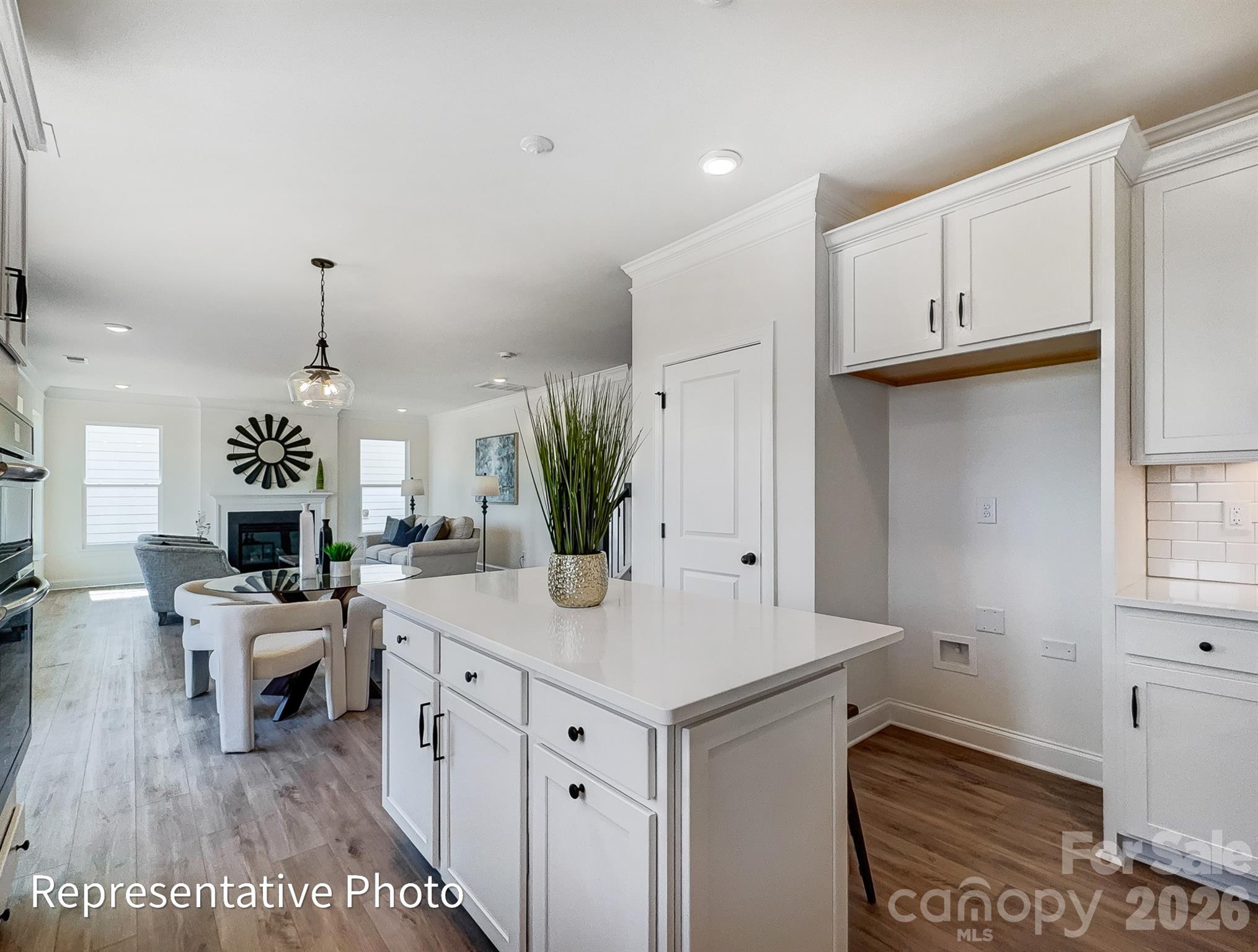 2529 Ashton Park Lane Property Photo 11