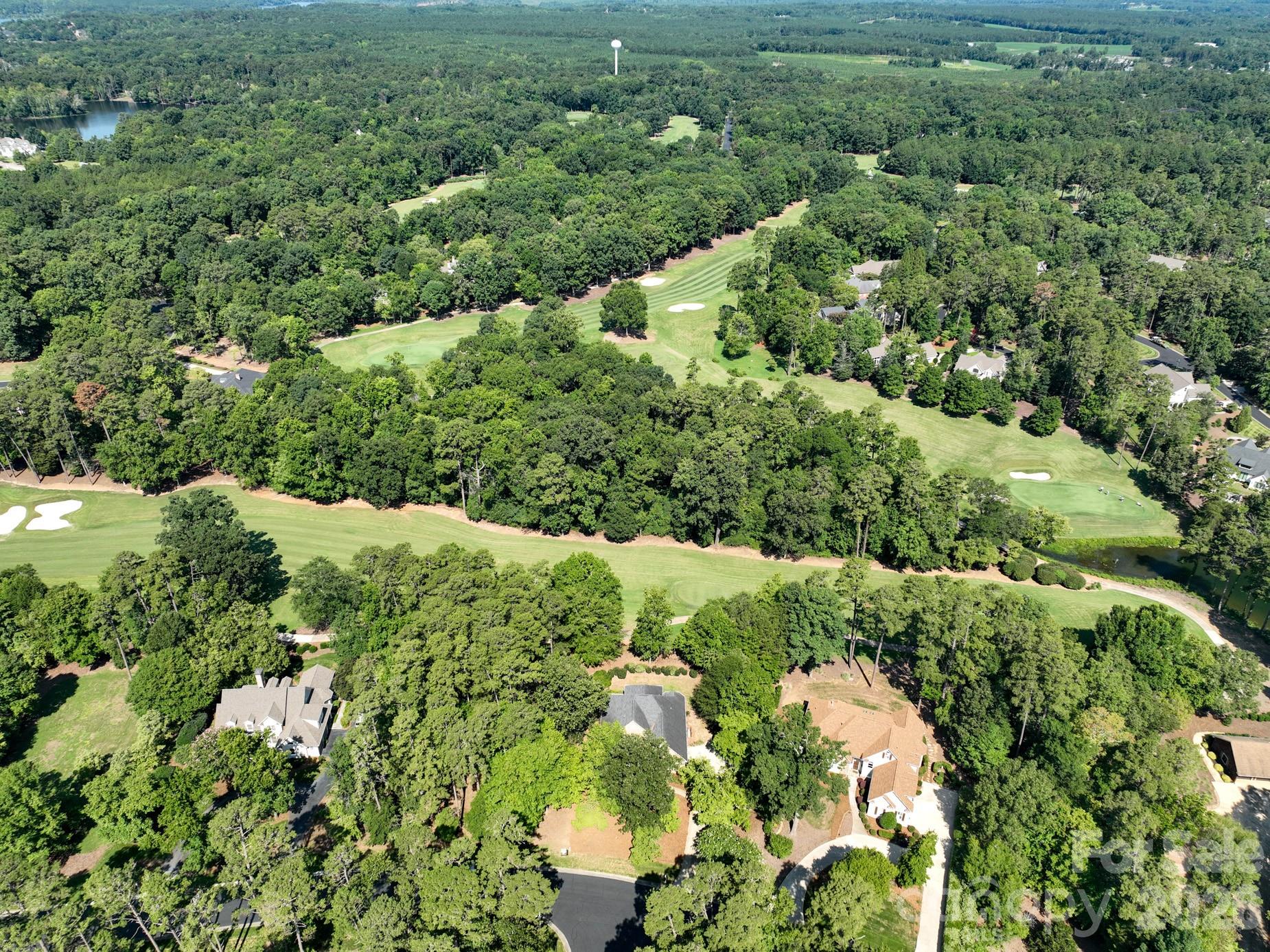 205 Piney Grove Point Property Photo 46
