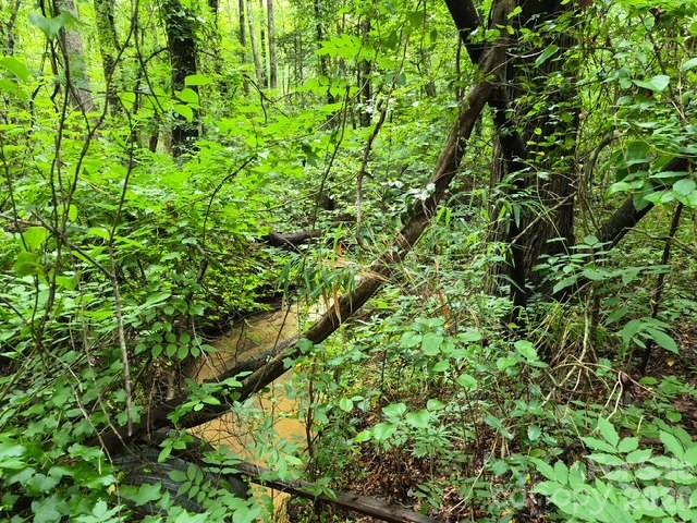 3231 Shadybark Trail Property Photo 4