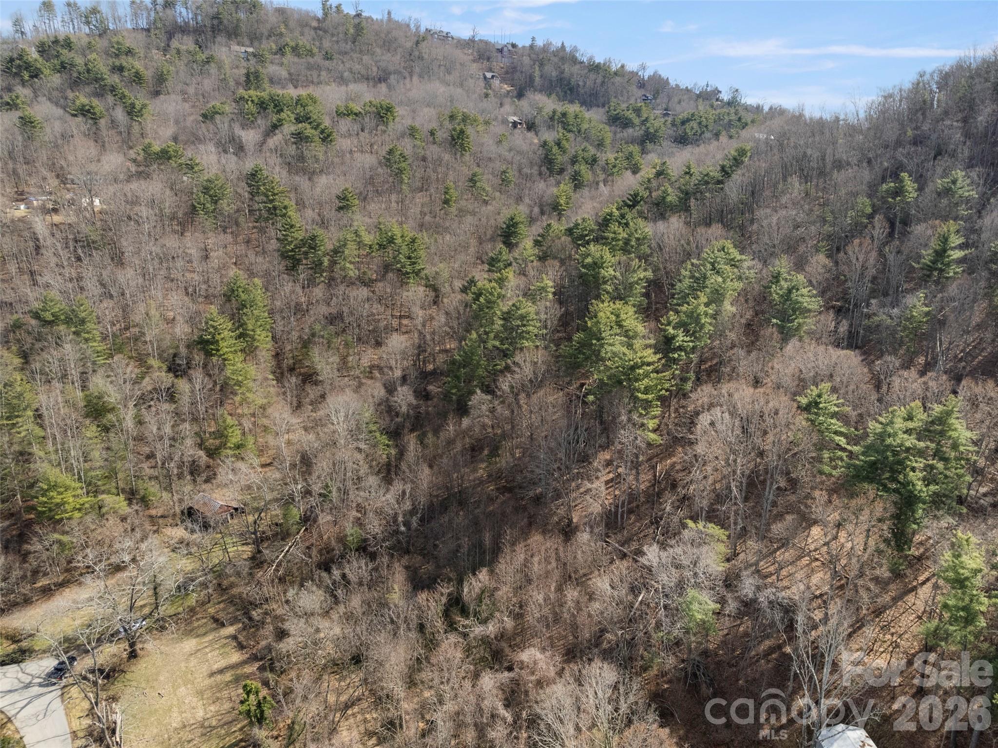 401 Baird Cove Road Property Photo 6