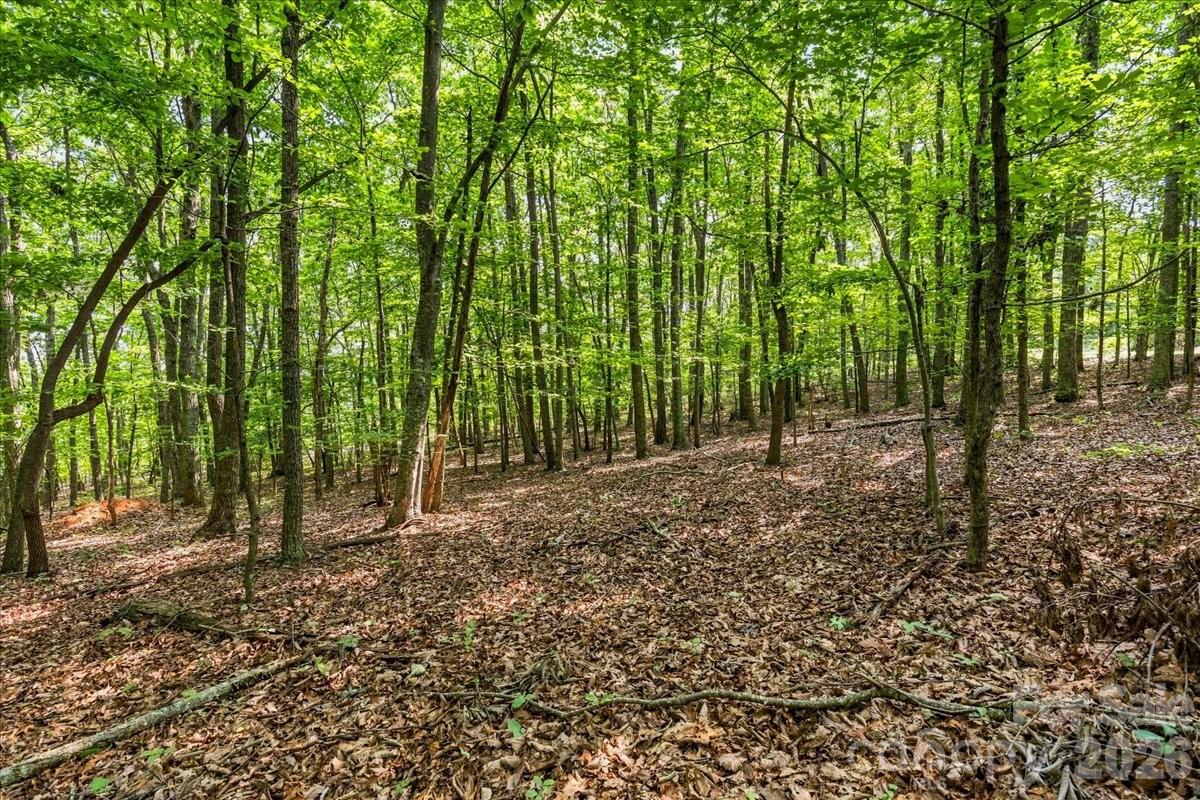 149 Mossy Oak Trail 167 Property Photo 4