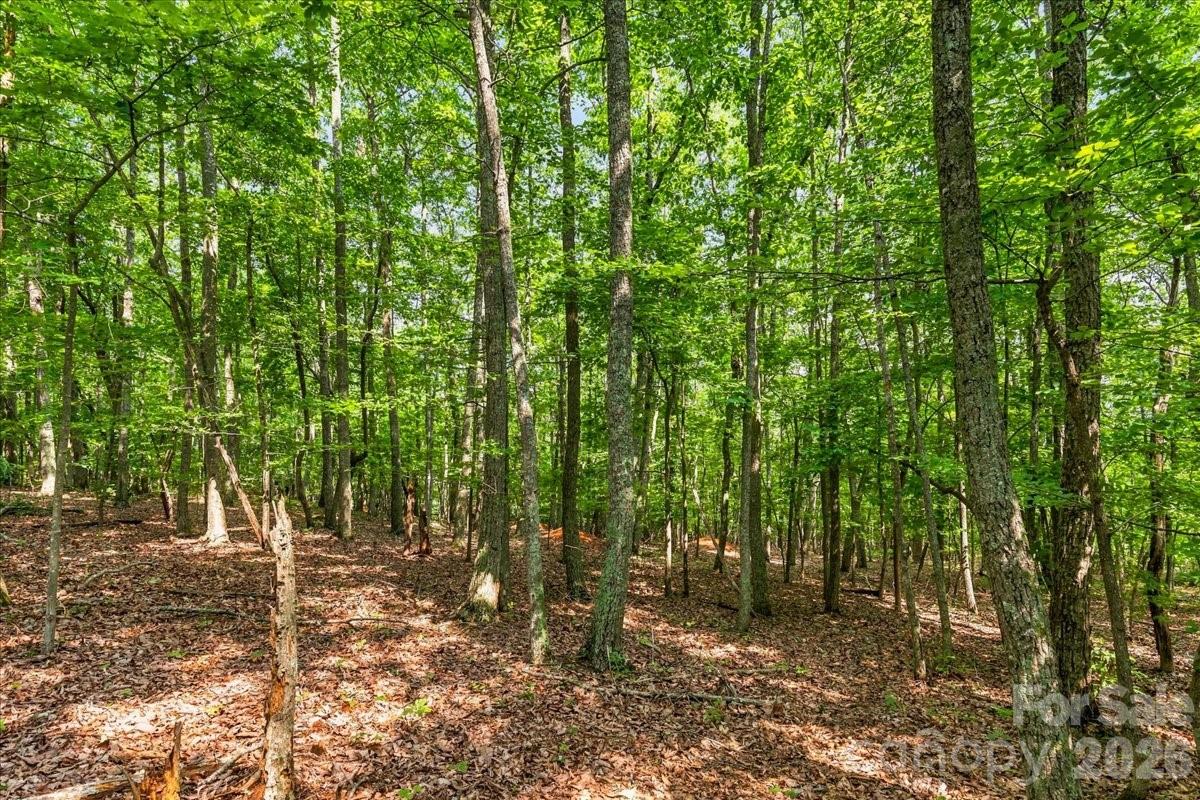 149 Mossy Oak Trail 167 Property Photo 5