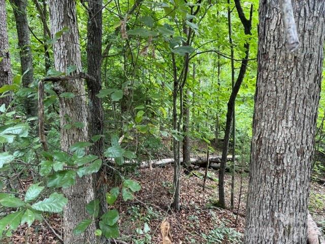 00 Chisholm Trail Property Photo 8